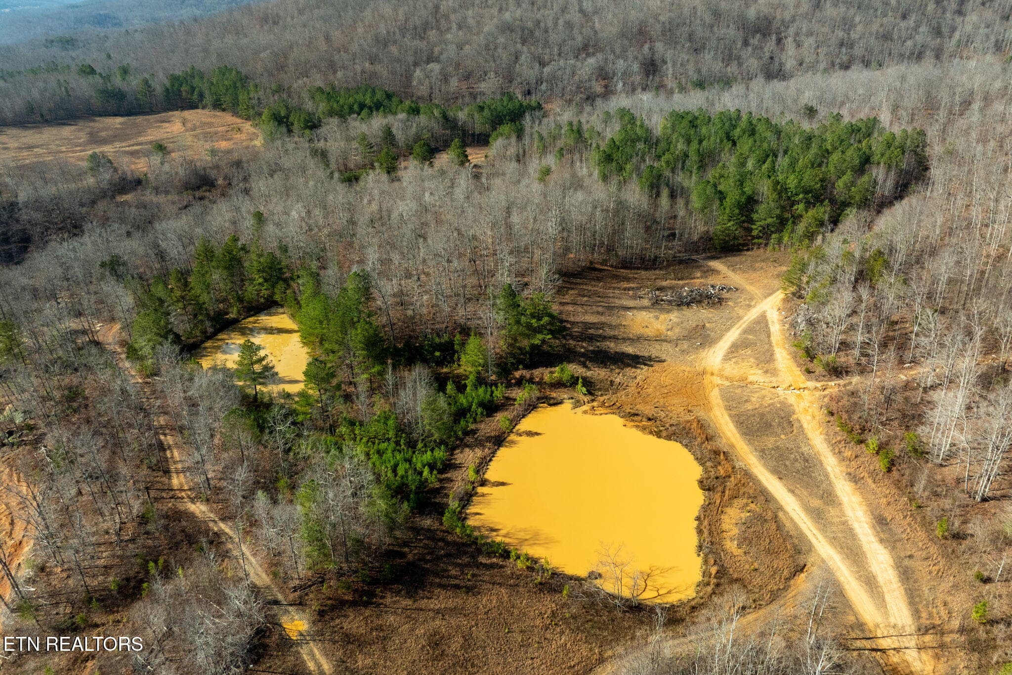 12-web-or-mls-puncheon-creek-ln - 00 Puncheon Creek Lane, Allred, TN 38542