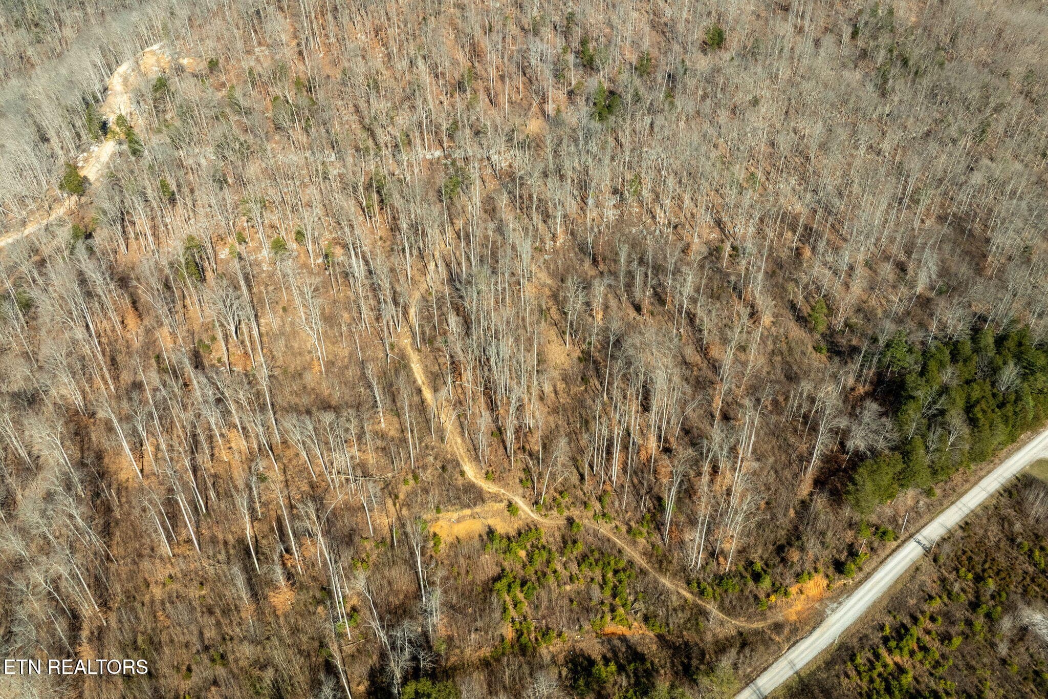 33-web-or-mls-puncheon-creek-ln - 00 Puncheon Creek Lane, Allred, TN 38542