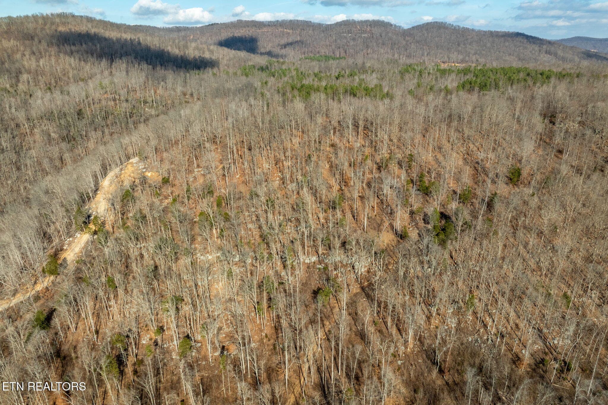 34-web-or-mls-puncheon-creek-ln - 00 Puncheon Creek Lane, Allred, TN 38542