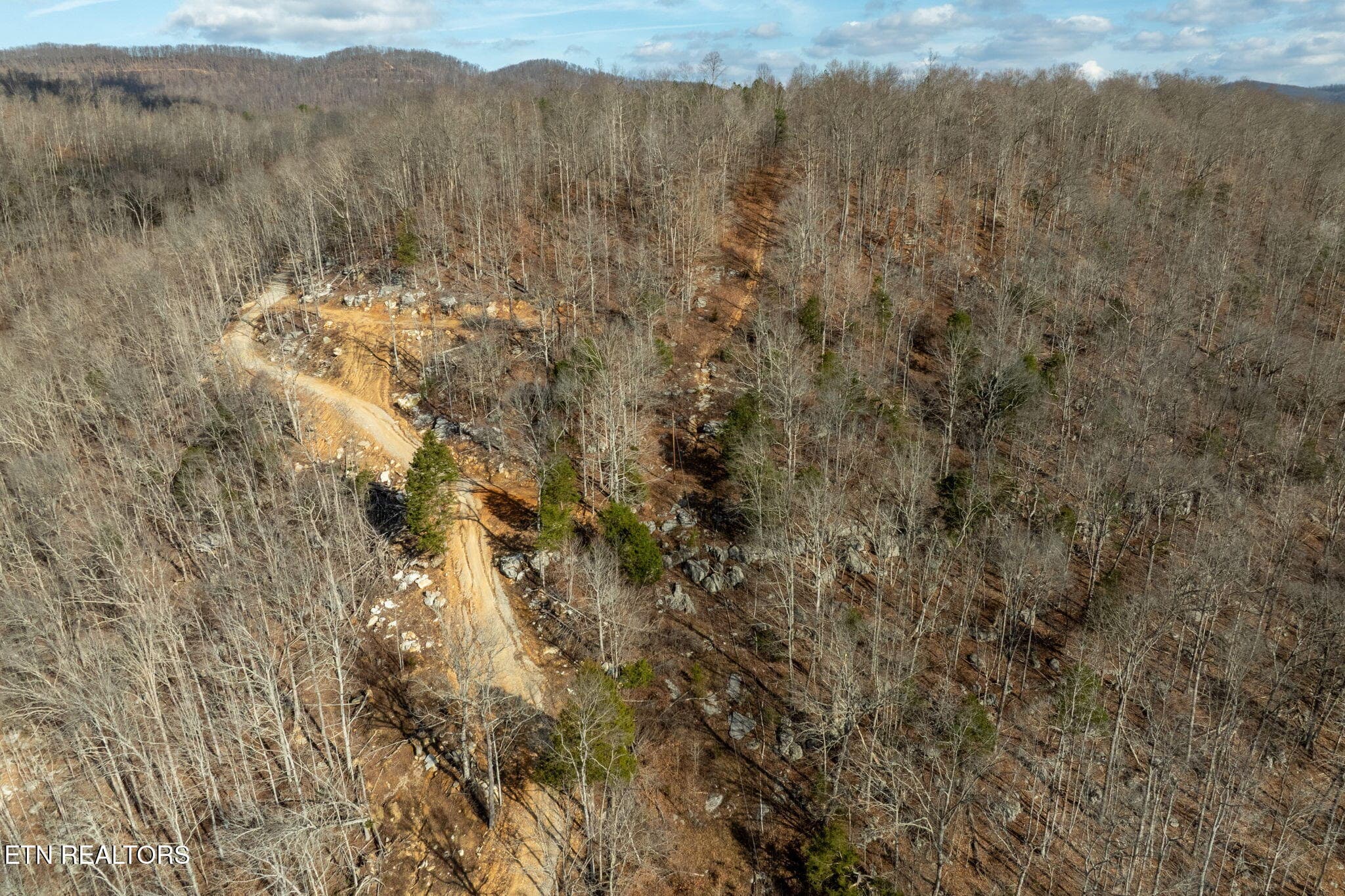 36-web-or-mls-puncheon-creek-ln - 00 Puncheon Creek Lane, Allred, TN 38542