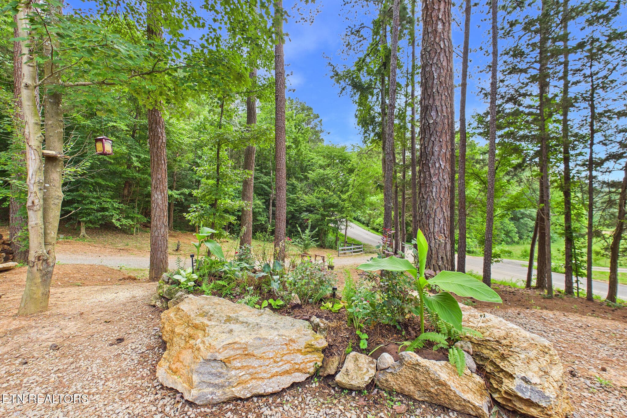 Driveway - 365 County Road 38, Riceville, TN 37370, Riceville