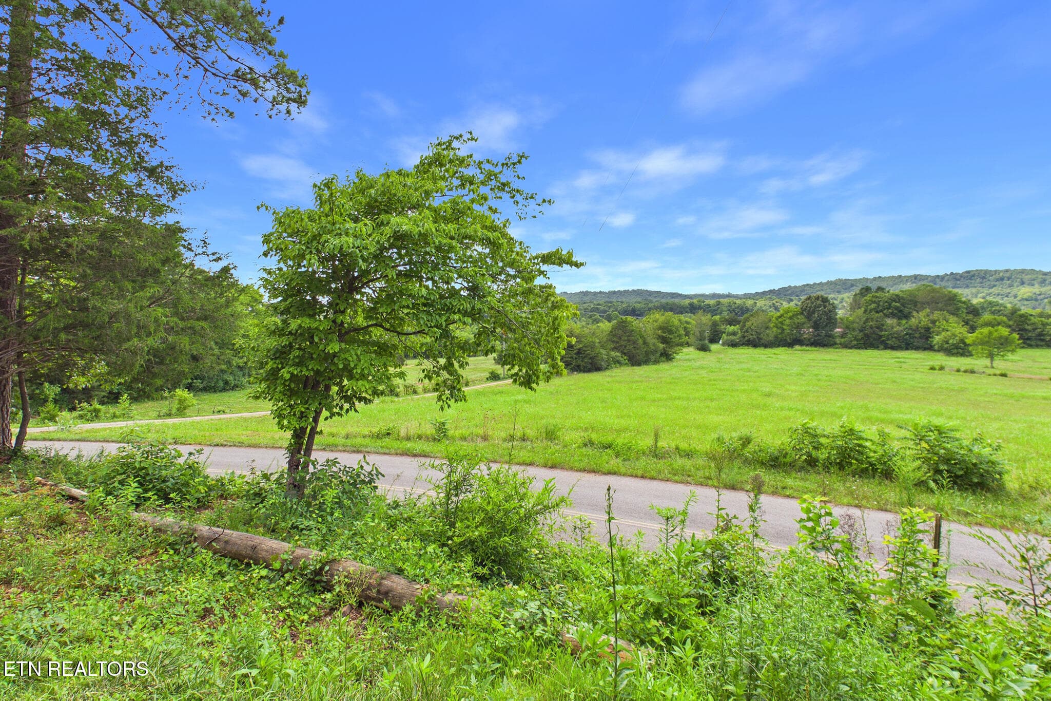 West Valley - 365 County Road 38, Riceville, TN 37370, Riceville