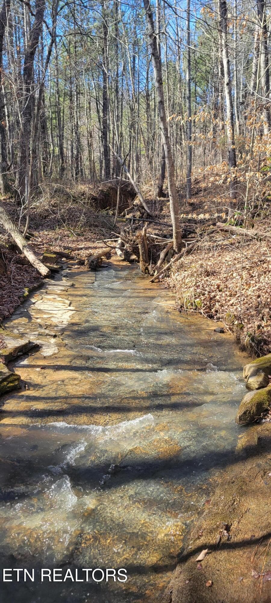 20260228_135359 - 00 Puncheon Creek Lane, Allred, TN 38542