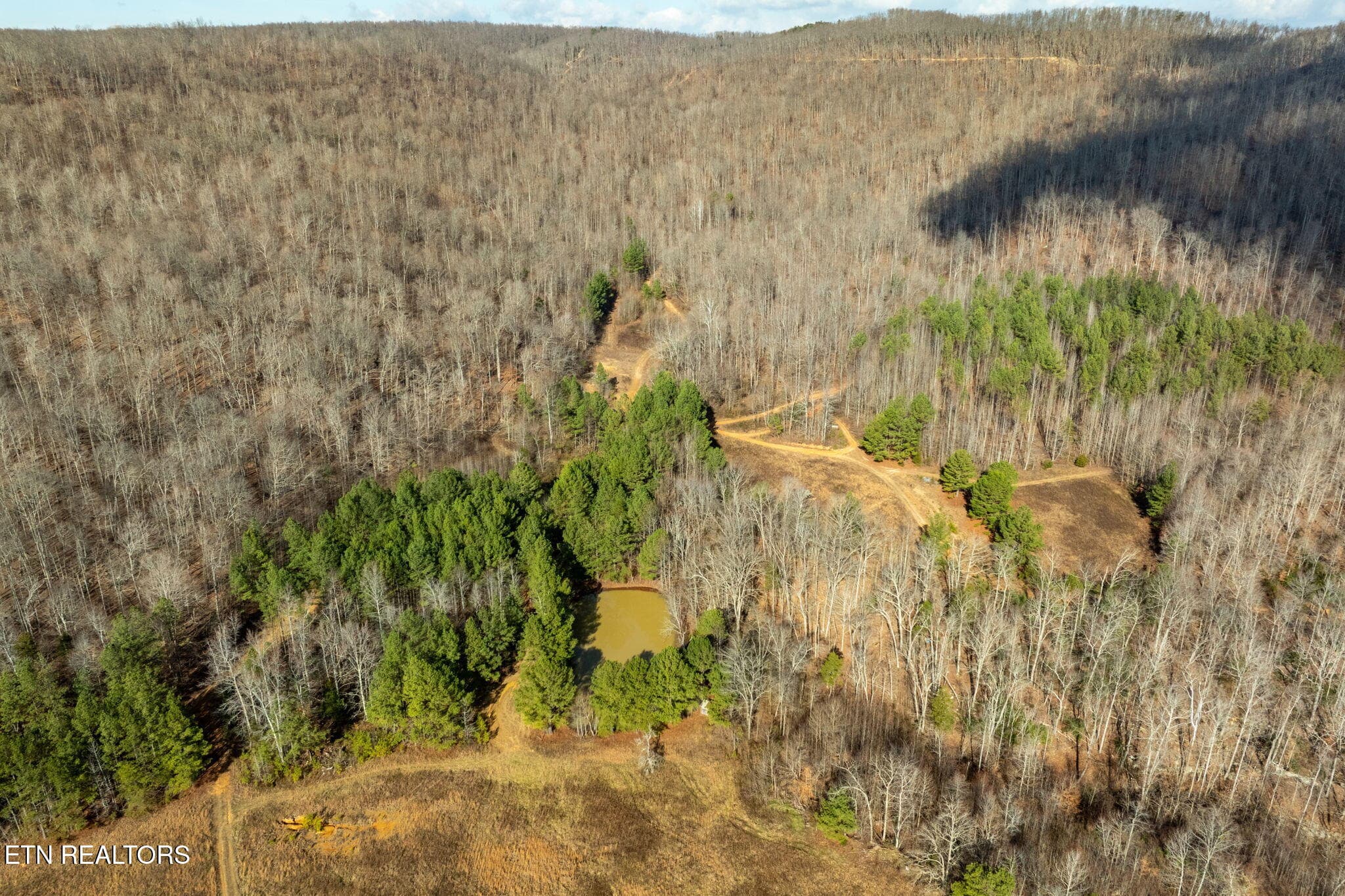 10-web-or-mls-puncheon-creek-ln - 00 Puncheon Creek Lane, Allred, TN 38542