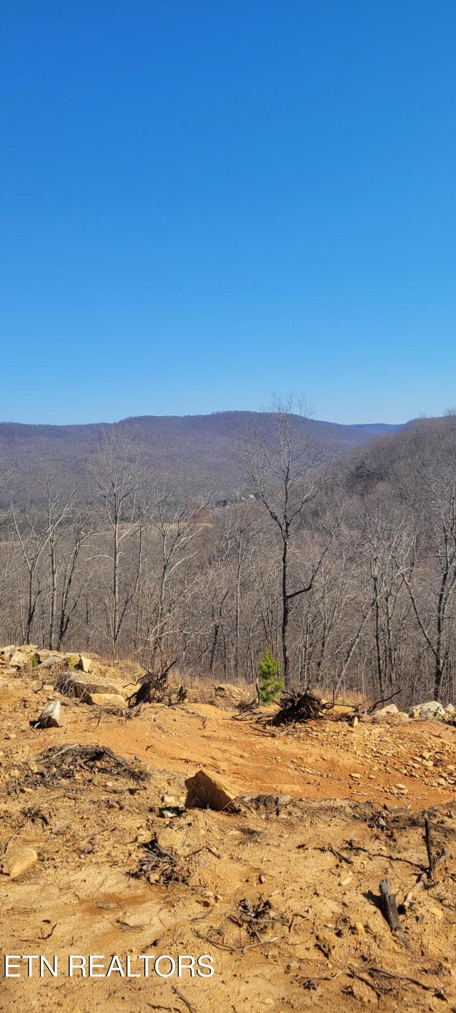 1000030473 - 00 Puncheon Creek Lane, Allred, TN 38542