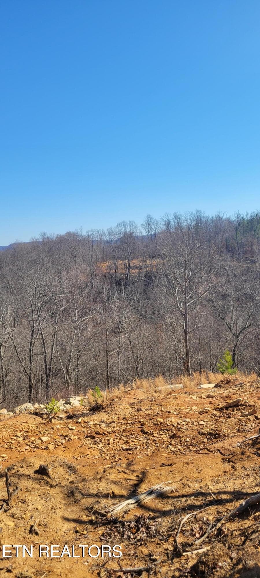 1000030475 - 00 Puncheon Creek Lane, Allred, TN 38542