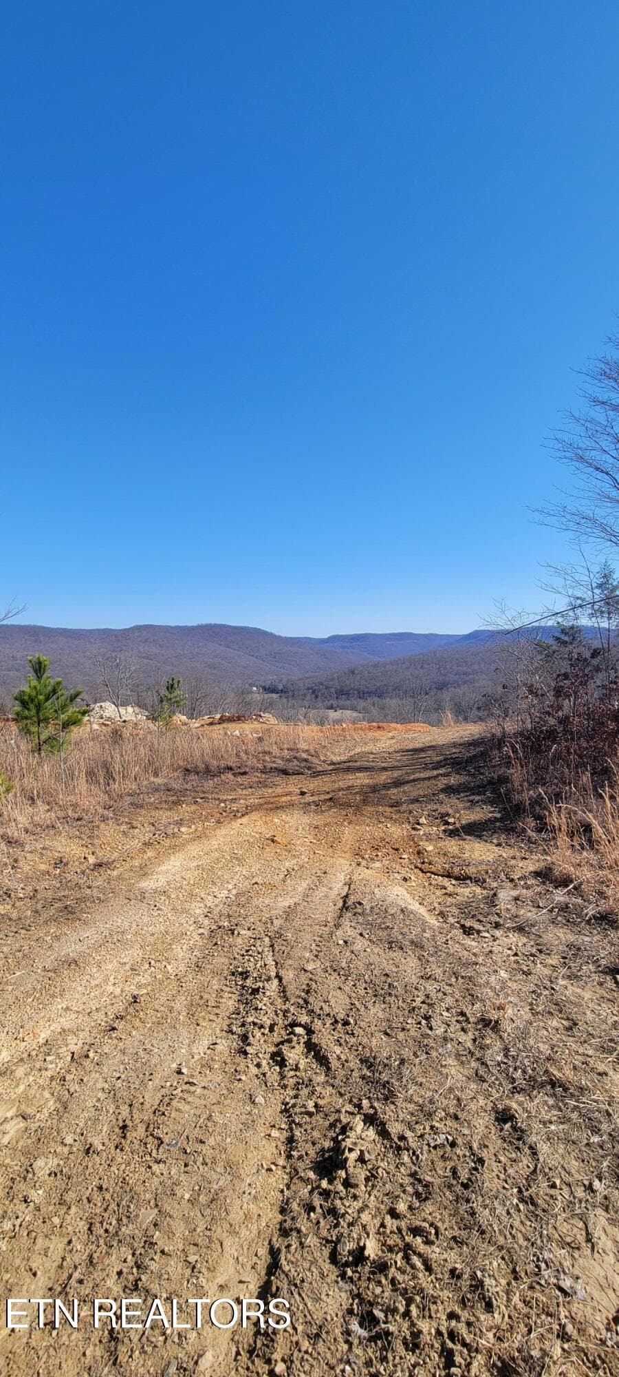 1000030482 - 00 Puncheon Creek Lane, Allred, TN 38542