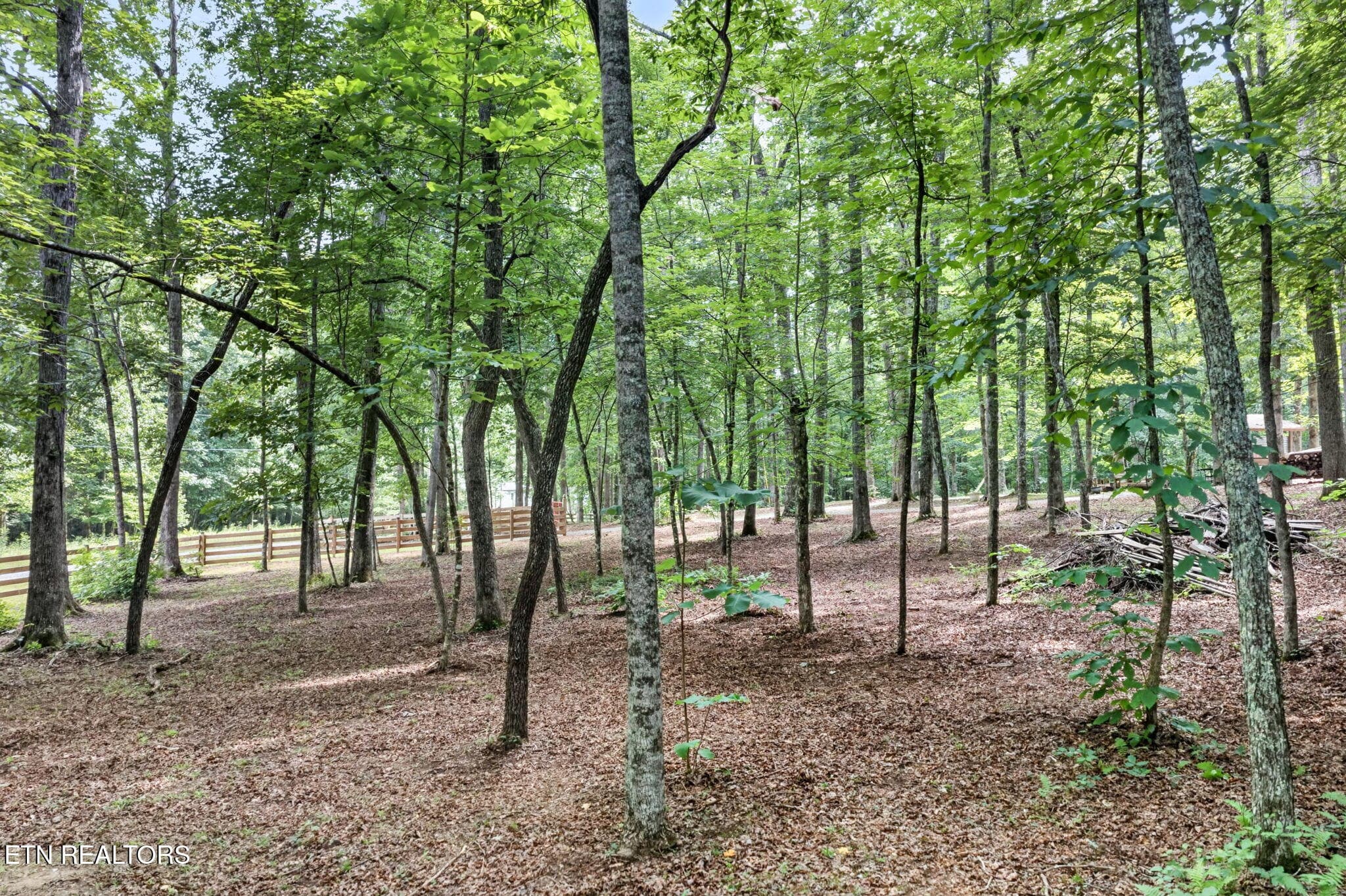 16-web-or-mls-4207 Chapel Hill Rd_075_TN - 4207 Chapel Hill Rd, Crawford, TN 38554
