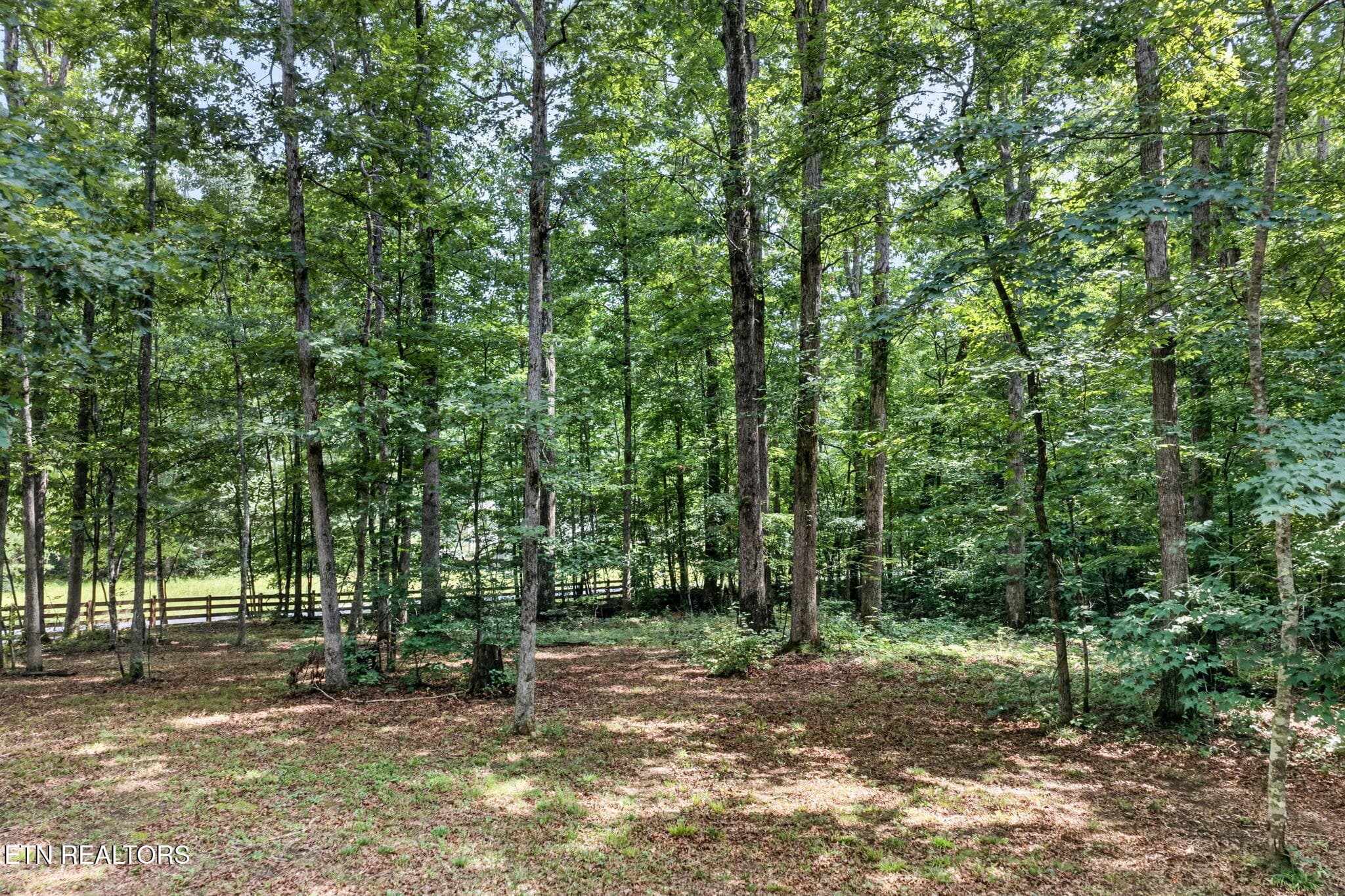 22-web-or-mls-4207 Chapel Hill Rd_101_TN - 4207 Chapel Hill Rd, Crawford, TN 38554