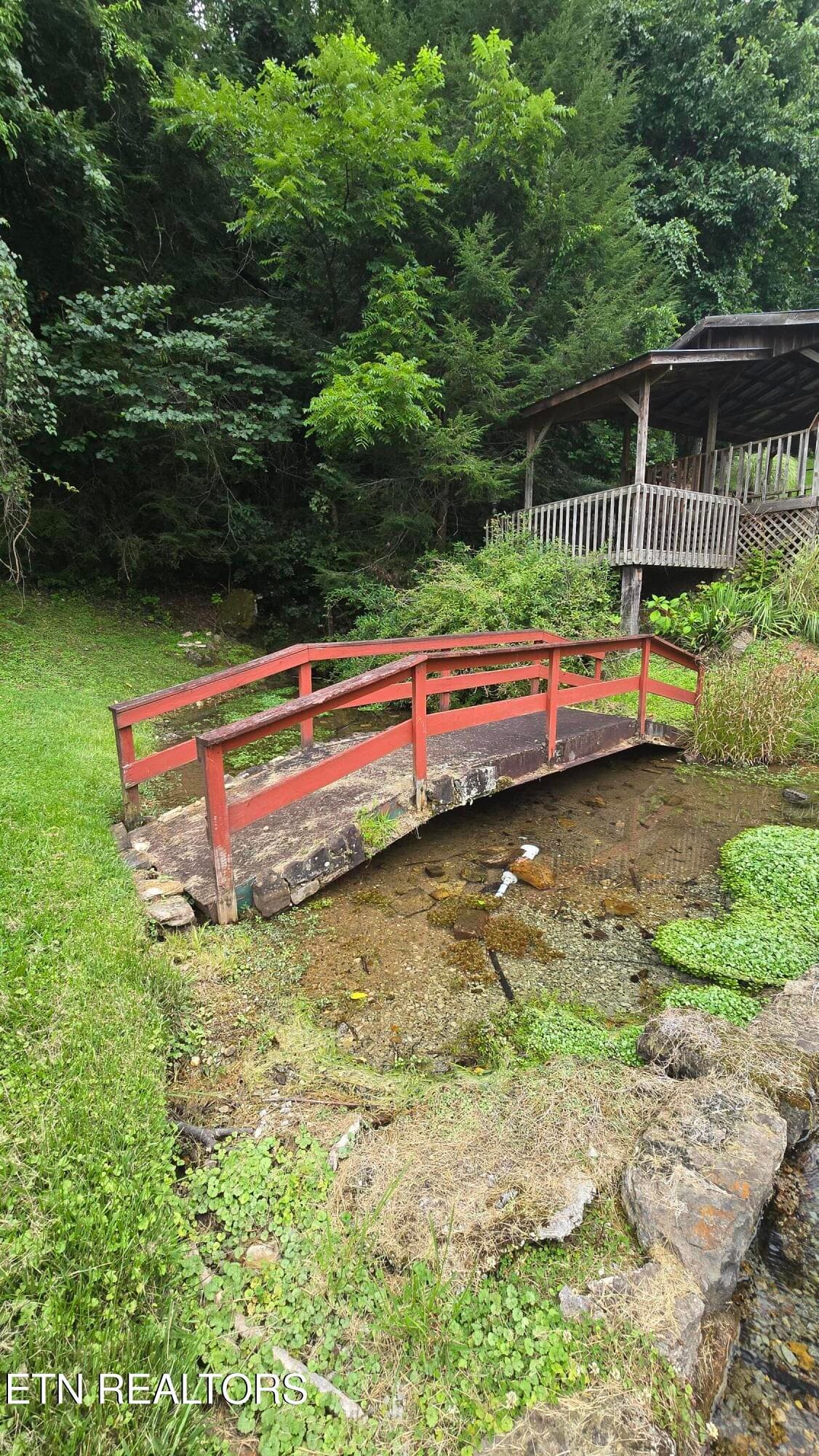 Spring Bridge & Spring - 5494 Lone Mountain Rd, New Tazewell, TN 37825