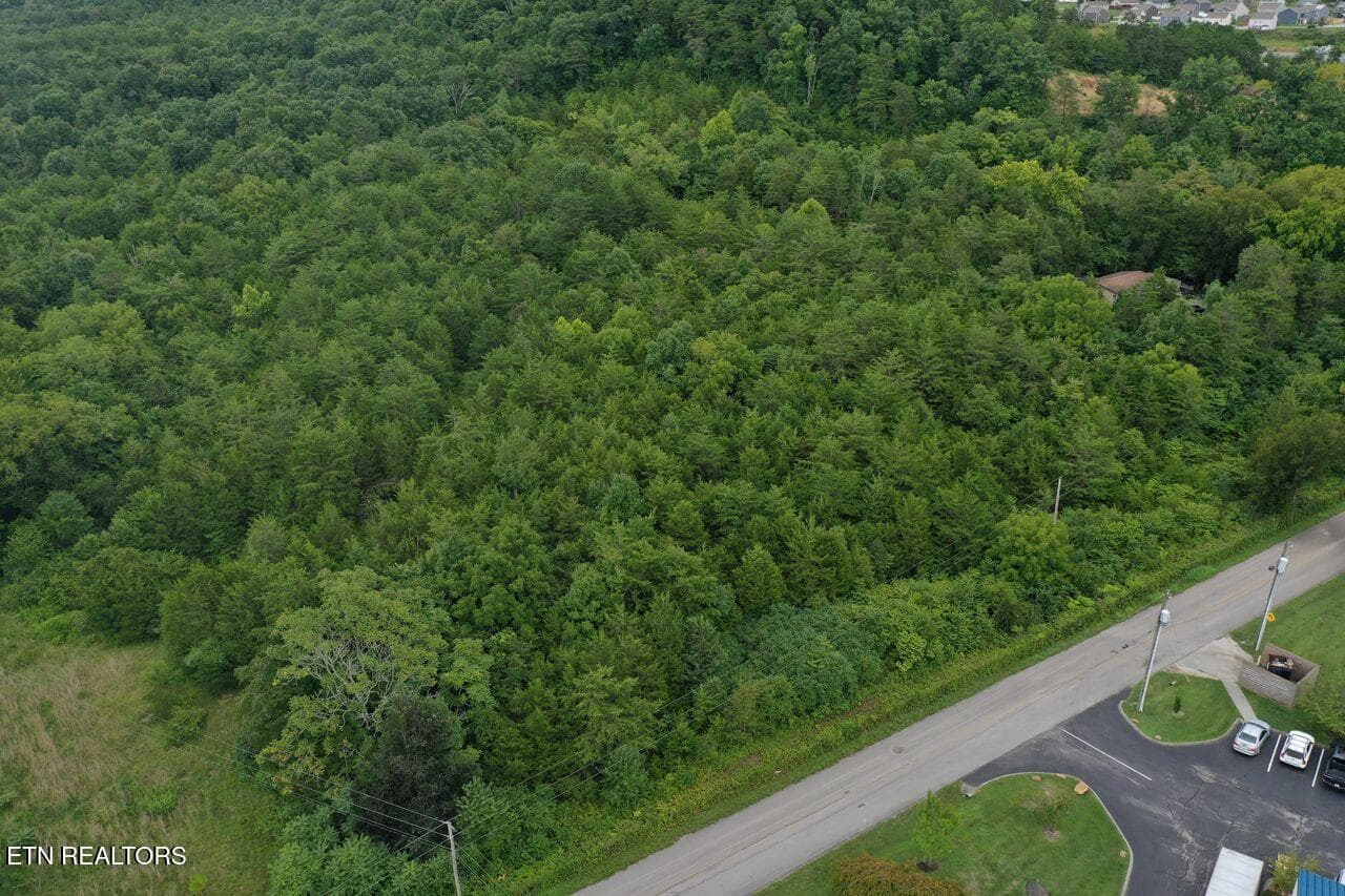 220 Milldale Rd - Pic 3 - 220 Milldale Rd, Dandridge, TN 37725, Dandridge