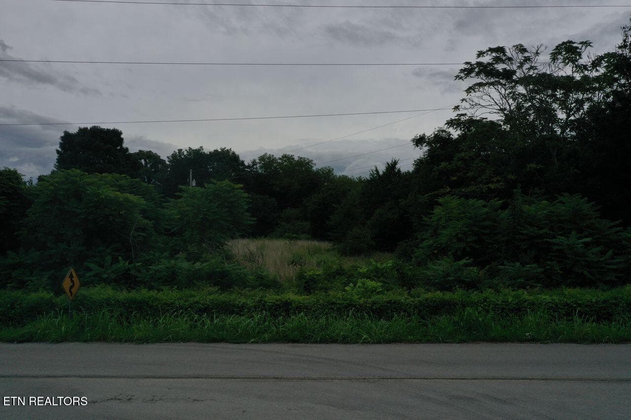 220 Milldale Rd - Pic 5 - 220 Milldale Rd, Dandridge, TN 37725, Dandridge
