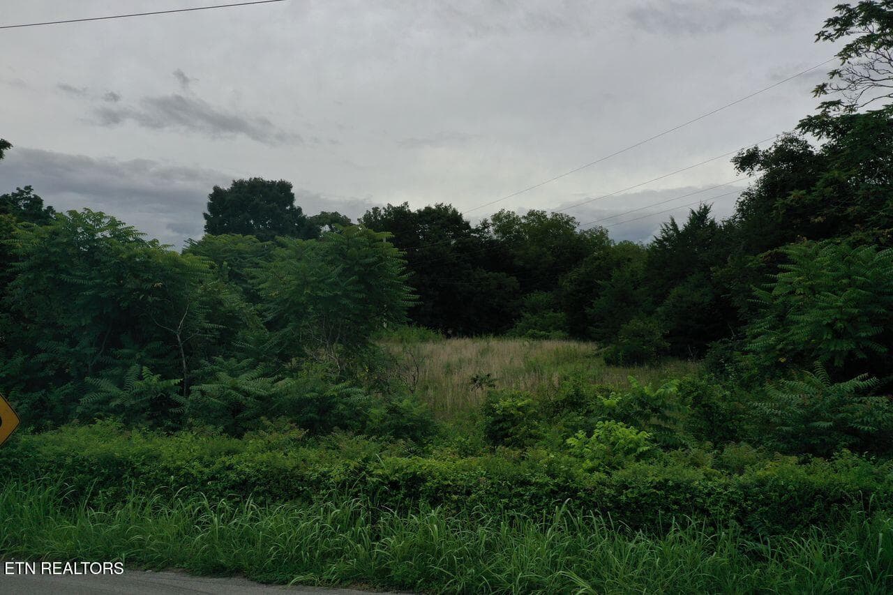 220 Milldale Rd - Pic 7 - 220 Milldale Rd, Dandridge, TN 37725, Dandridge