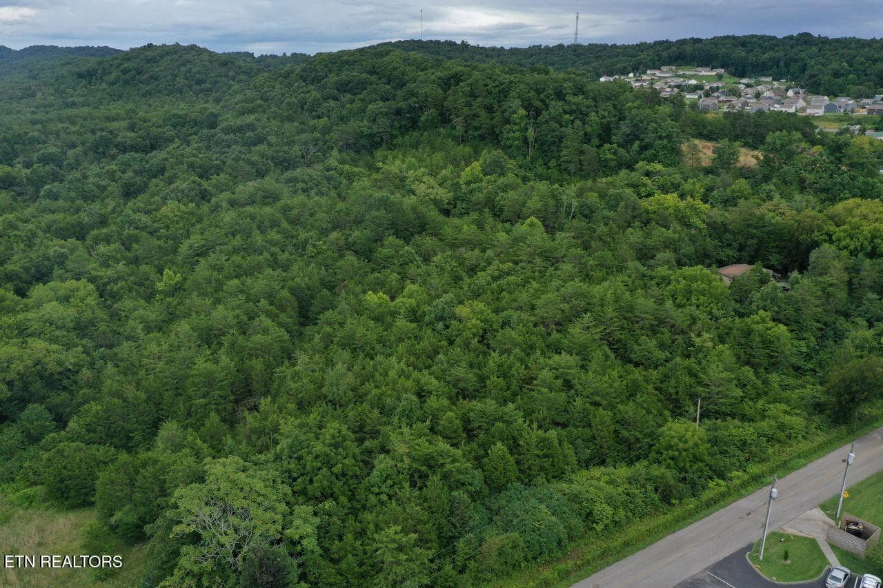 220 Milldale Rd - Pic 8 - 220 Milldale Rd, Dandridge, TN 37725, Dandridge