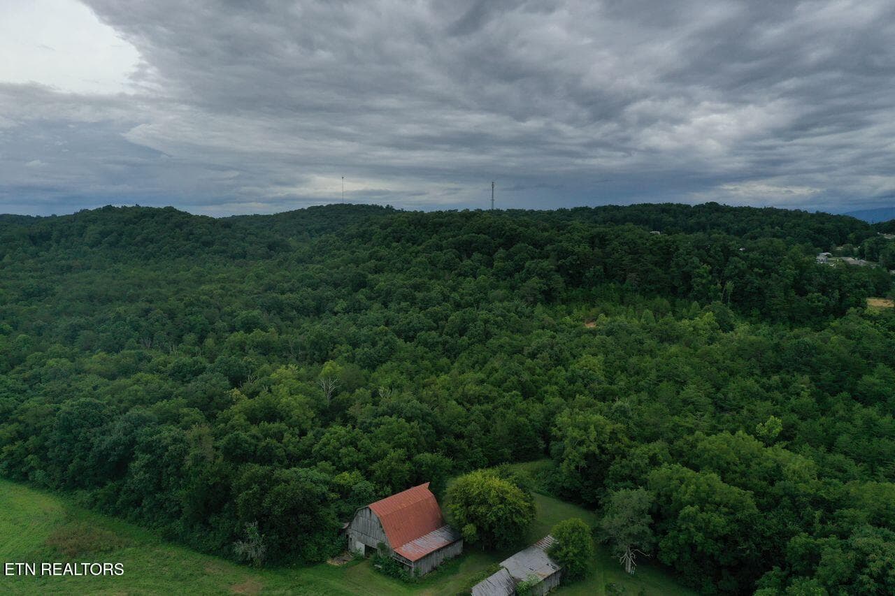 220 Milldale Rd - Pic 9 - 220 Milldale Rd, Dandridge, TN 37725, Dandridge