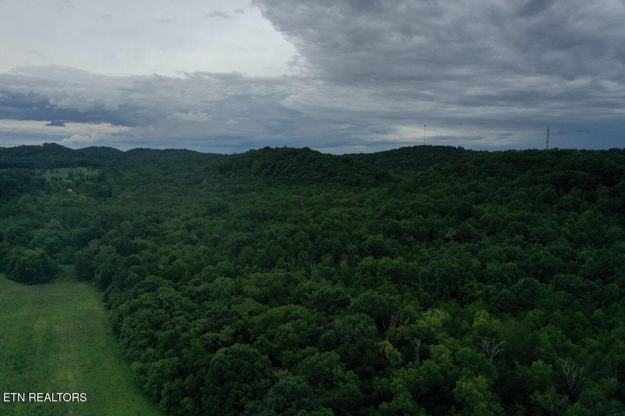 220 Milldale Rd - Pic 10 - 220 Milldale Rd, Dandridge, TN 37725, Dandridge