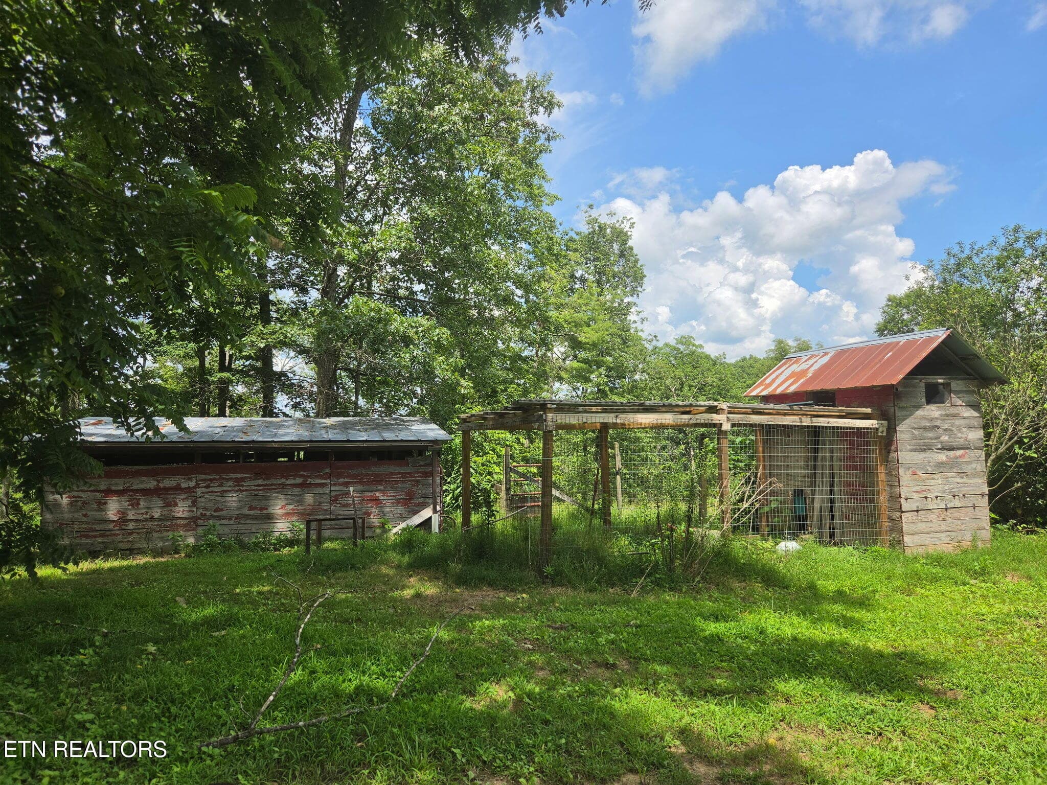 812 - 141 Central Ave, Robbins, TN 37852