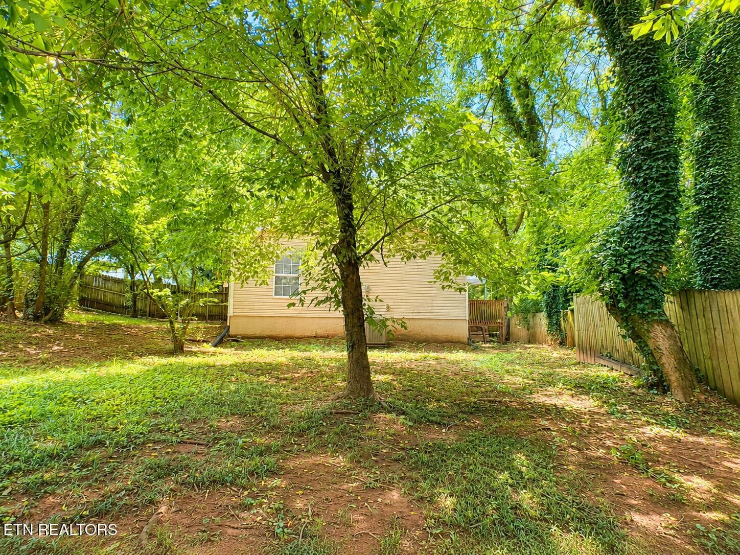 Backyard - 2519 SE Seaton Ave, Knoxville, TN 37920, Knoxville