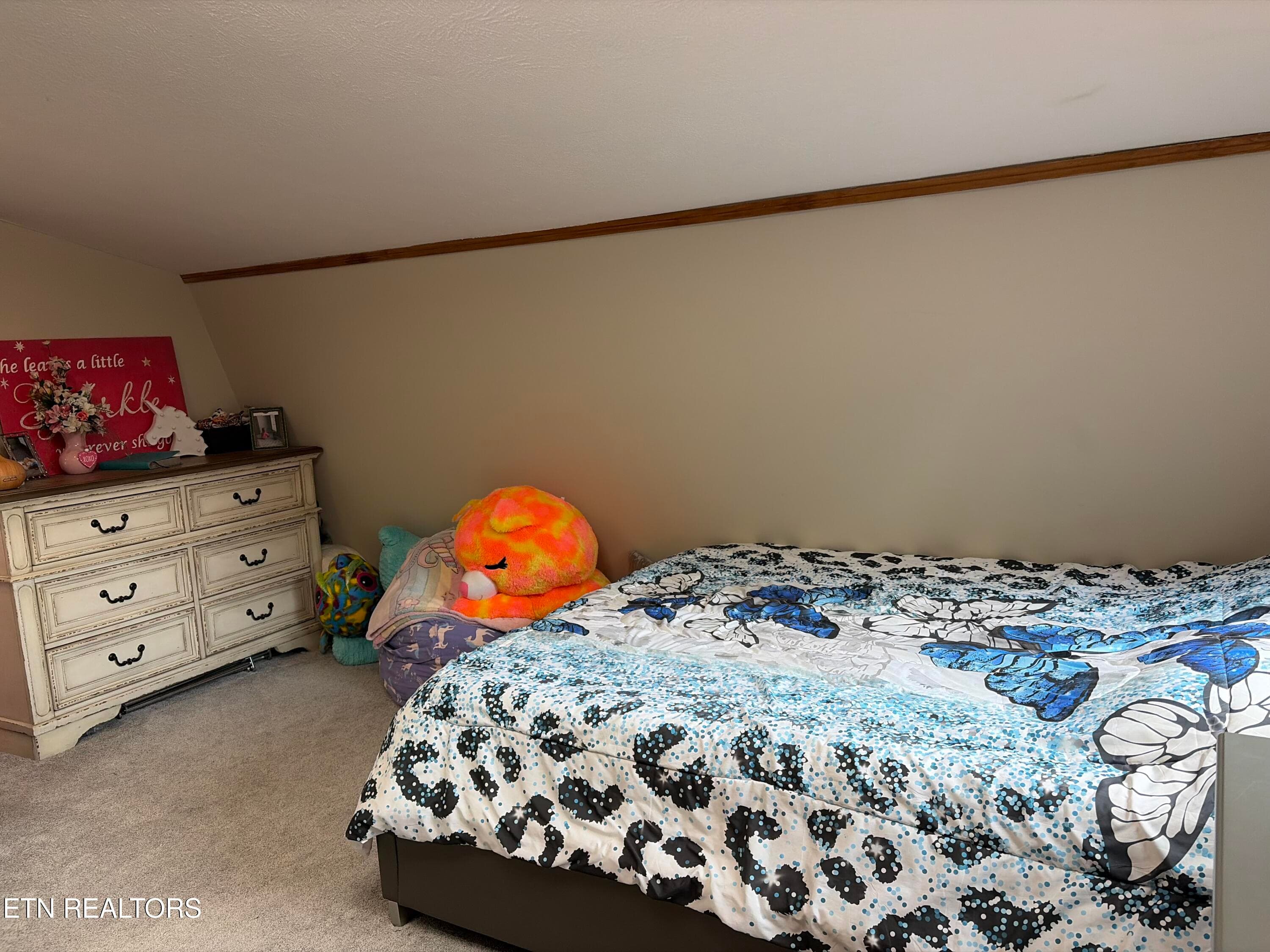 IMG_1510 - 237 Foster Rd, Heiskell, TN 37754