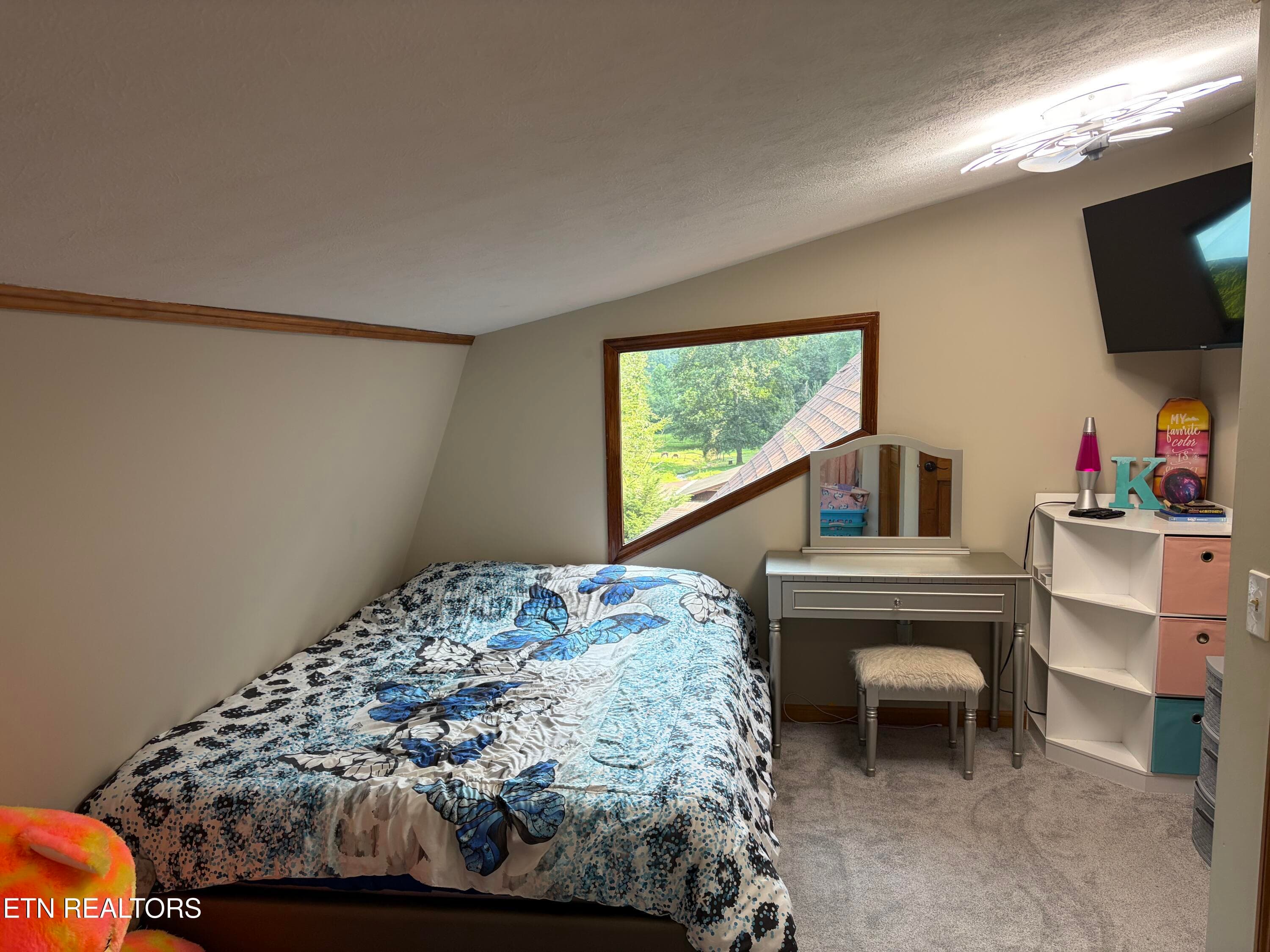 IMG_1511 - 237 Foster Rd, Heiskell, TN 37754
