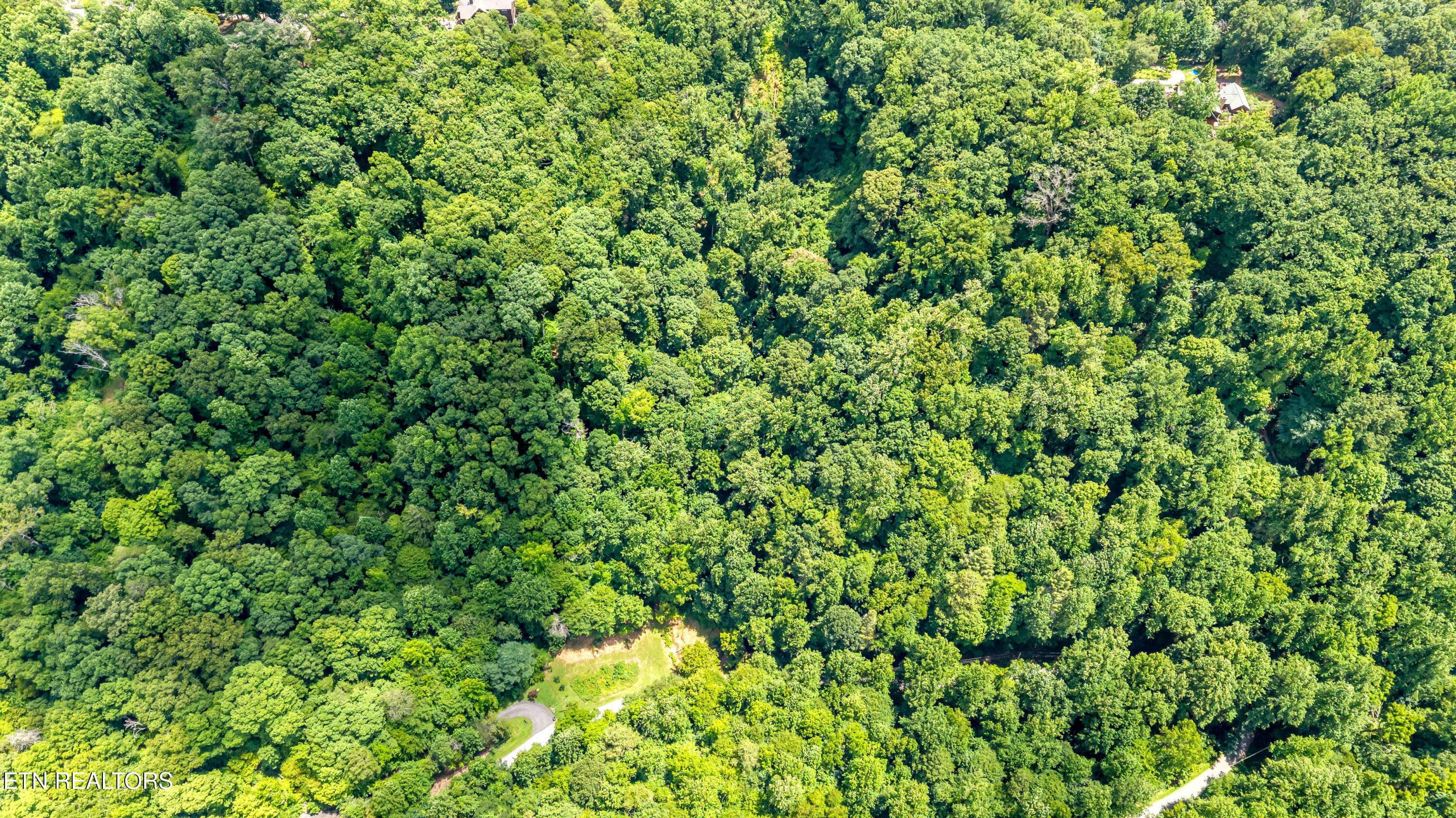 DJI_20260720141606_0038_D-2 - 429 Trails End Rd, Walland, TN 37886
