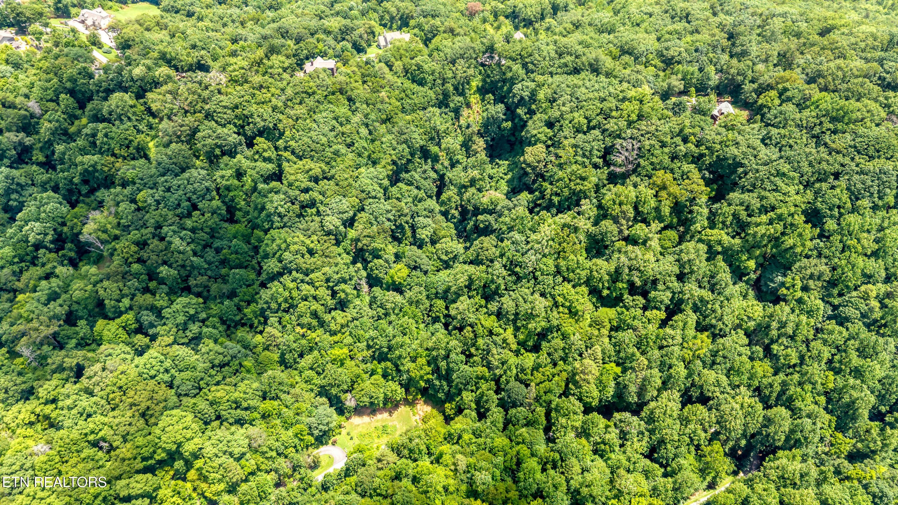 DJI_20260720141615_0041_D-2 - 429 Trails End Rd, Walland, TN 37886