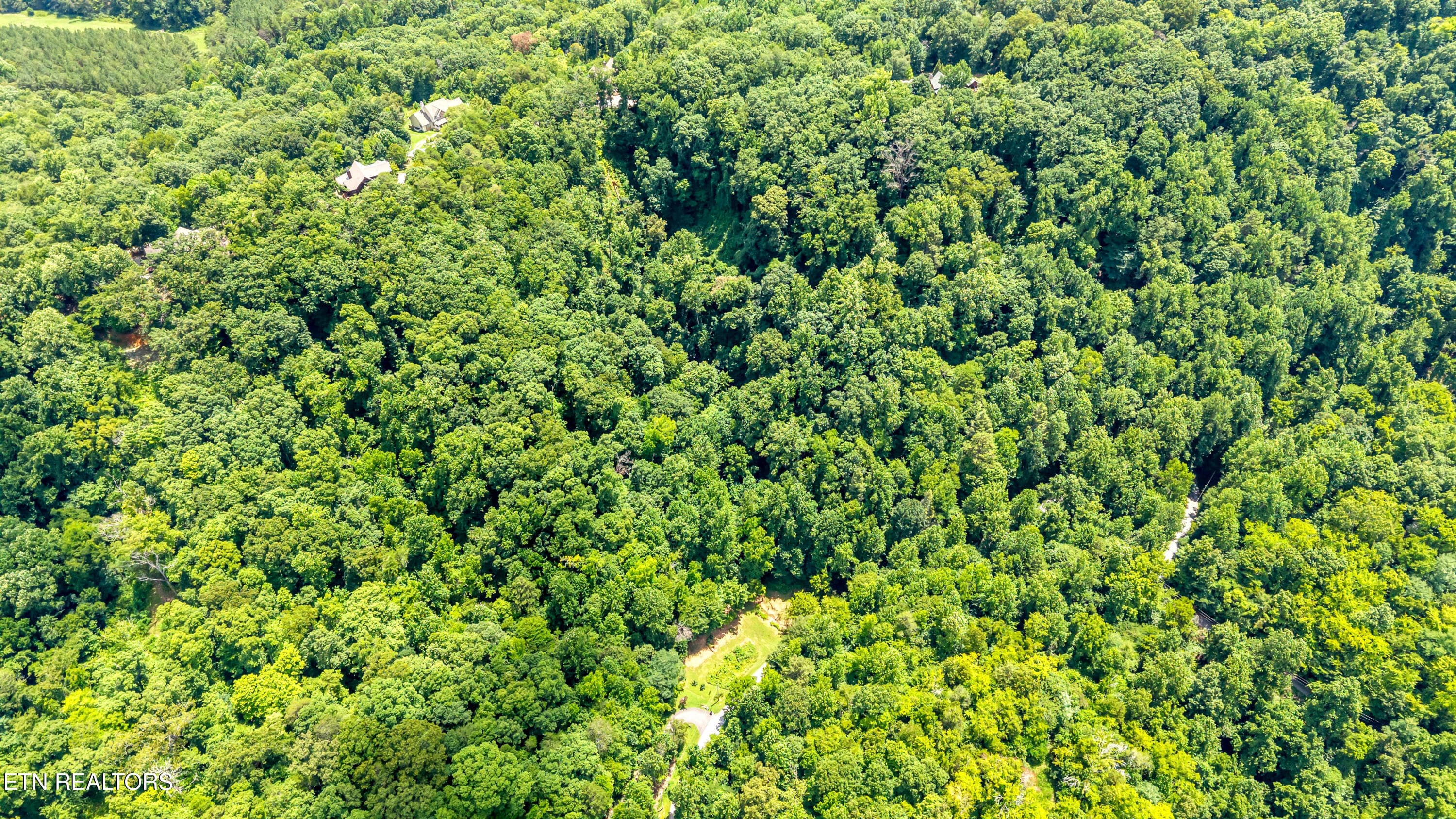 DJI_20260720141638_0043_D-2 - 429 Trails End Rd, Walland, TN 37886
