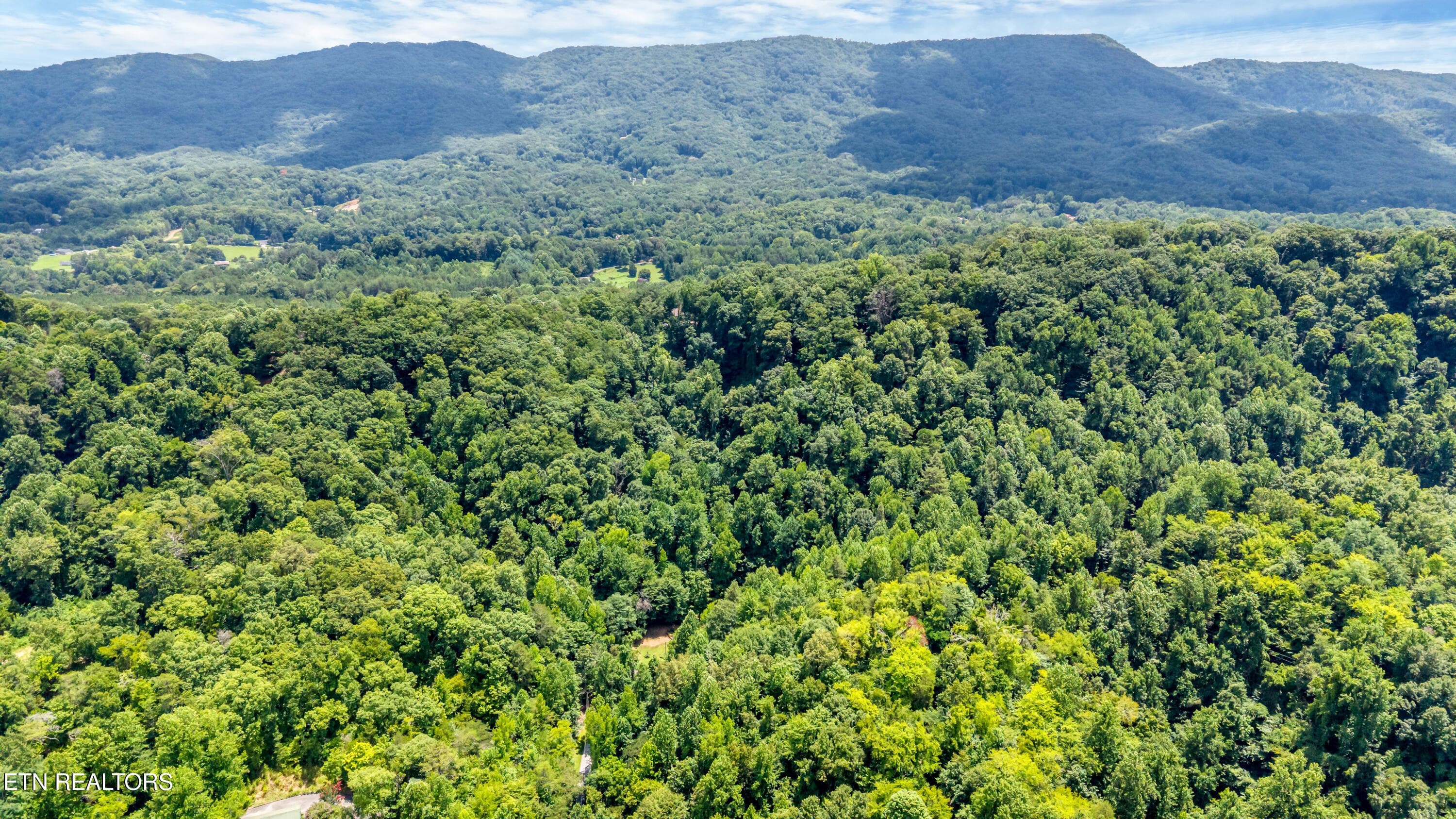 DJI_20260720141714_0050_D-2 - 429 Trails End Rd, Walland, TN 37886