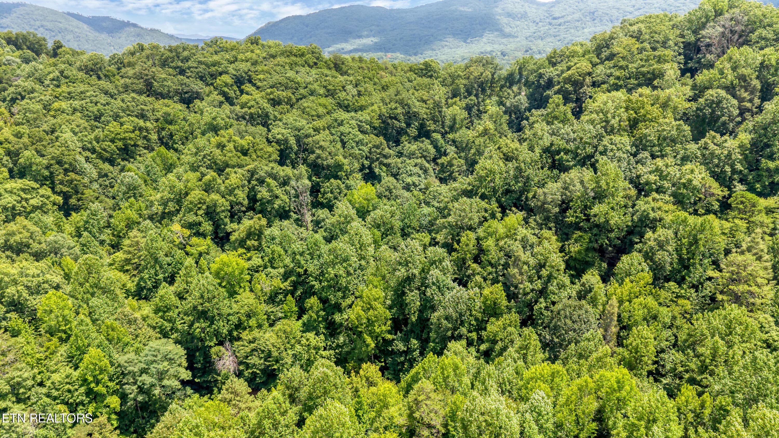 DJI_20260720141802_0056_D-2 - 429 Trails End Rd, Walland, TN 37886