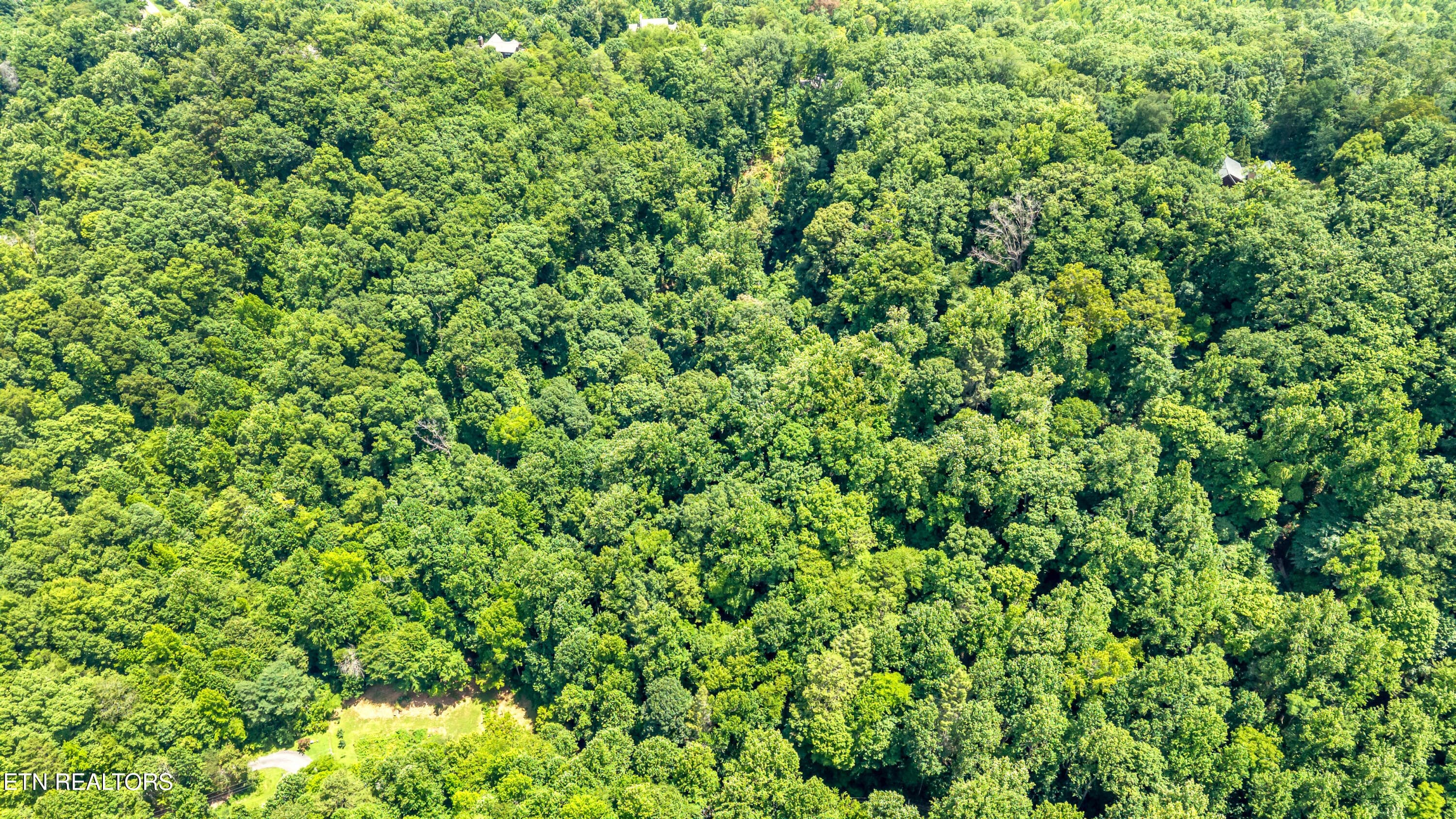 DJI_20260720142042_0065_D-2 - 429 Trails End Rd, Walland, TN 37886