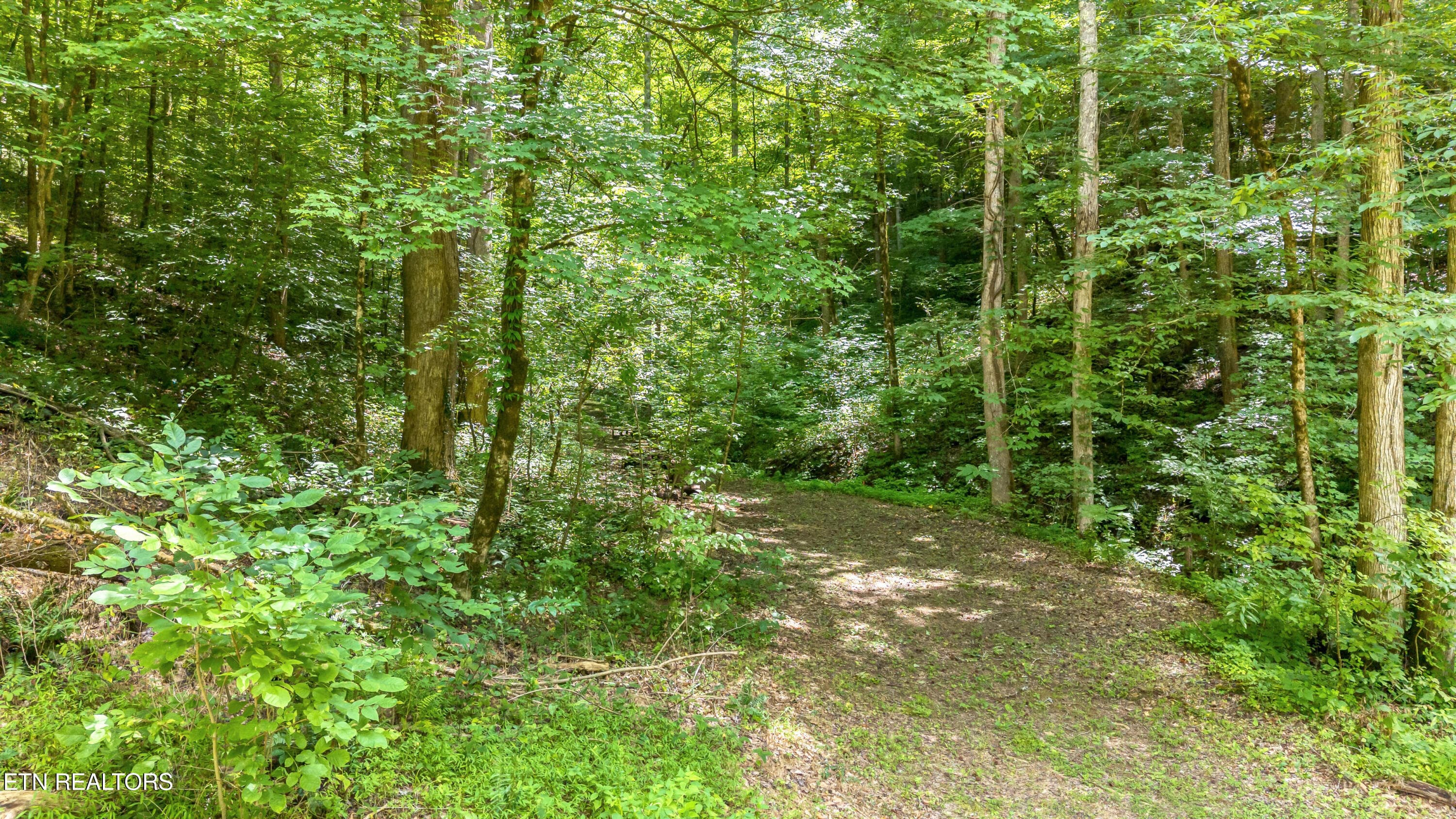 DJI_20260720142205_0074_D-2 - 429 Trails End Rd, Walland, TN 37886