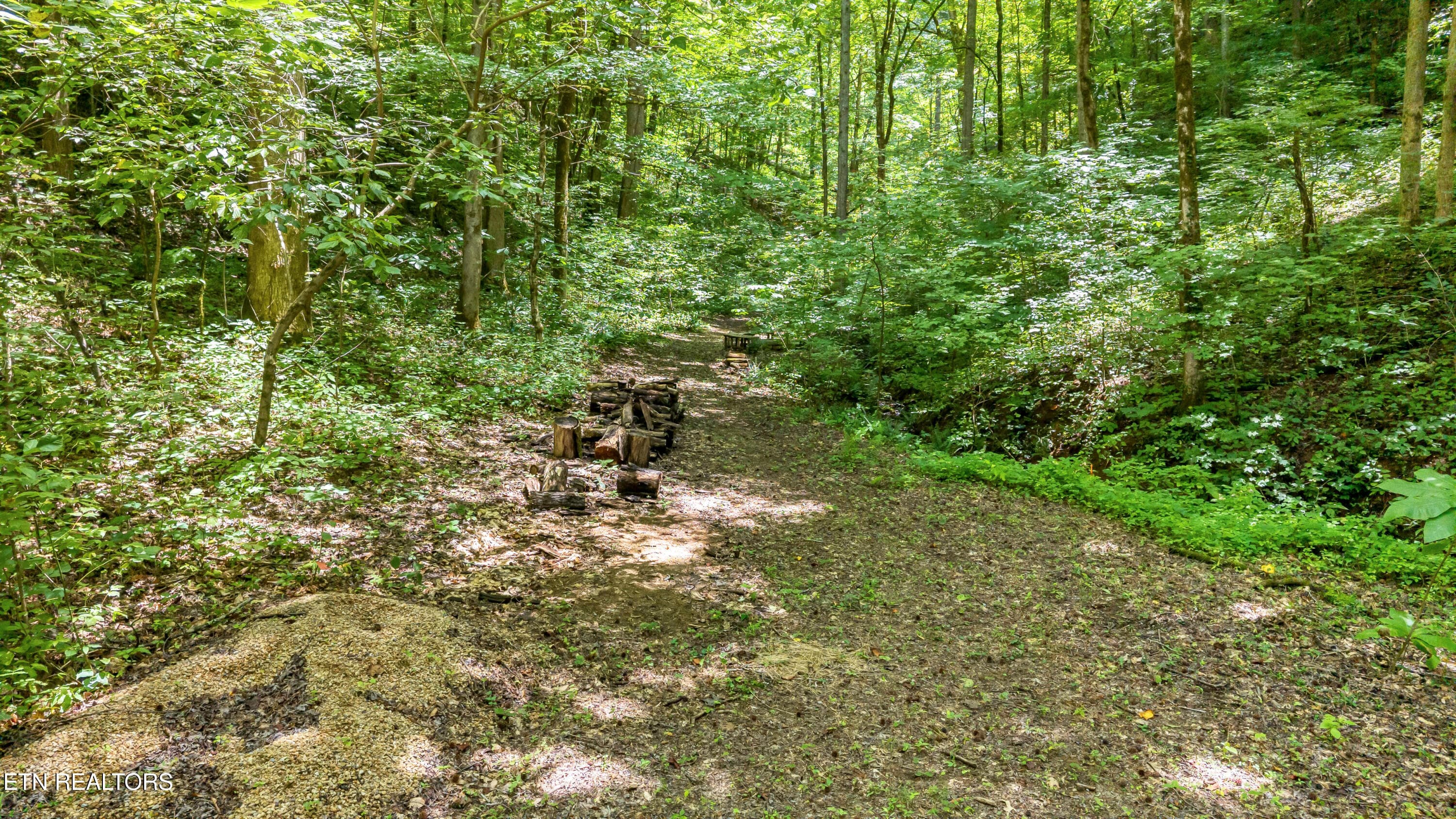 DJI_20260720142222_0077_D-2 - 429 Trails End Rd, Walland, TN 37886