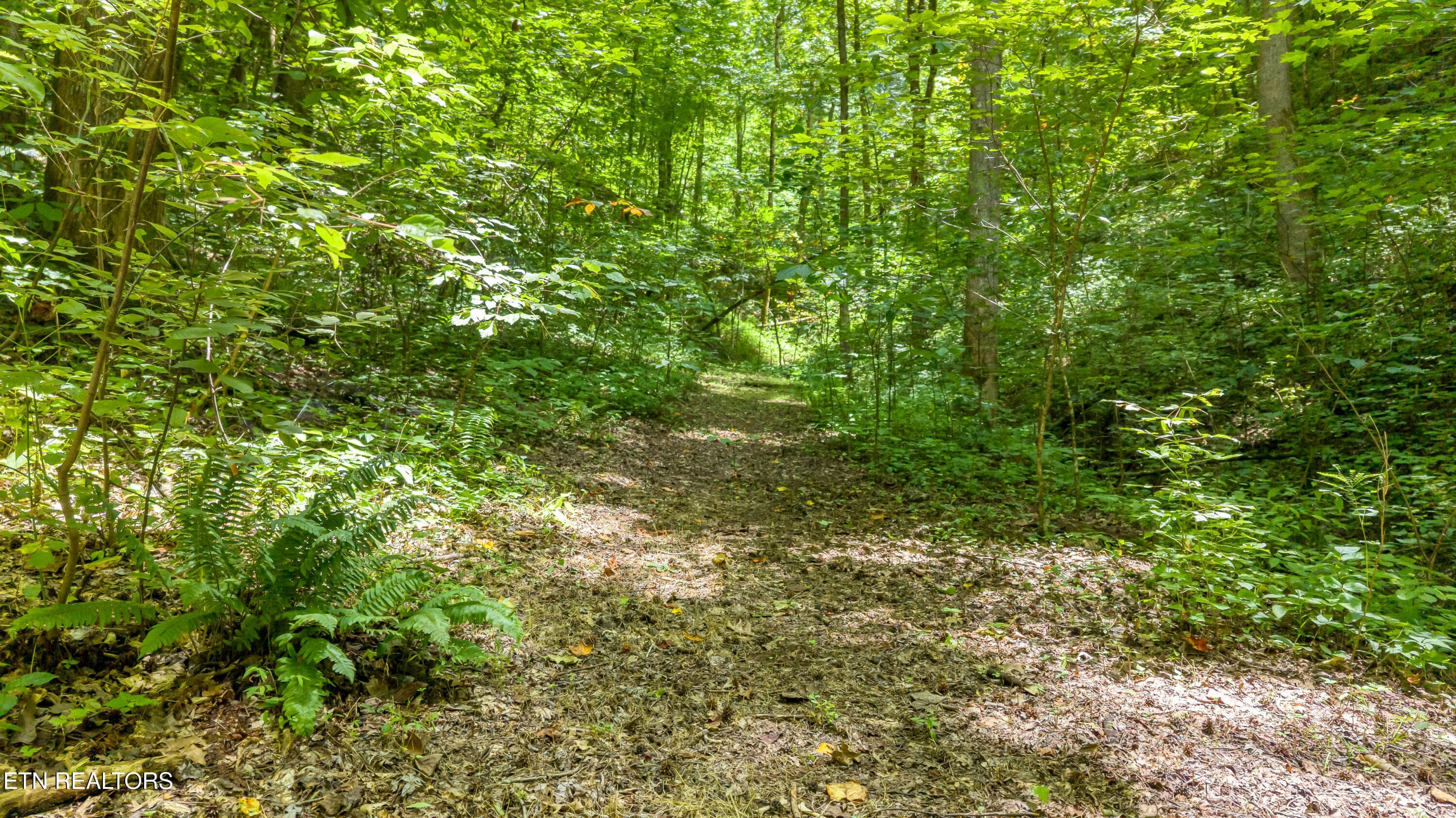 DJI_20260720142314_0089_D-2 - 429 Trails End Rd, Walland, TN 37886