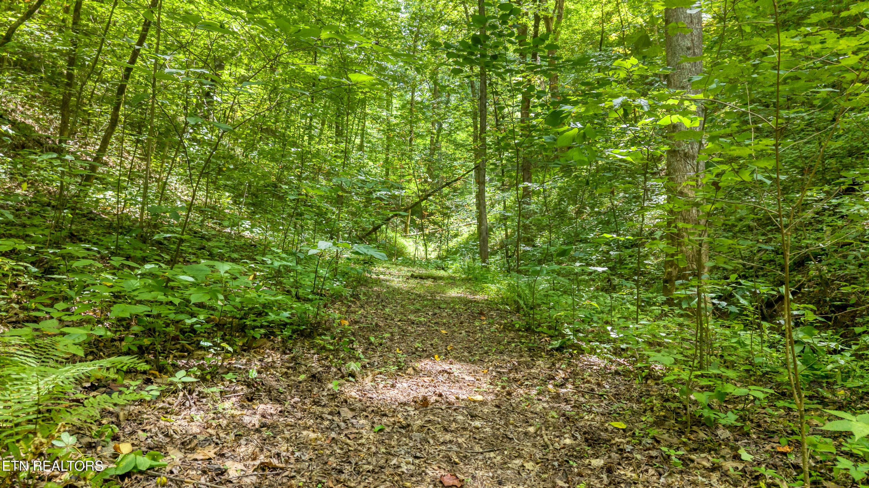 DJI_20260720142332_0092_D-2 - 429 Trails End Rd, Walland, TN 37886