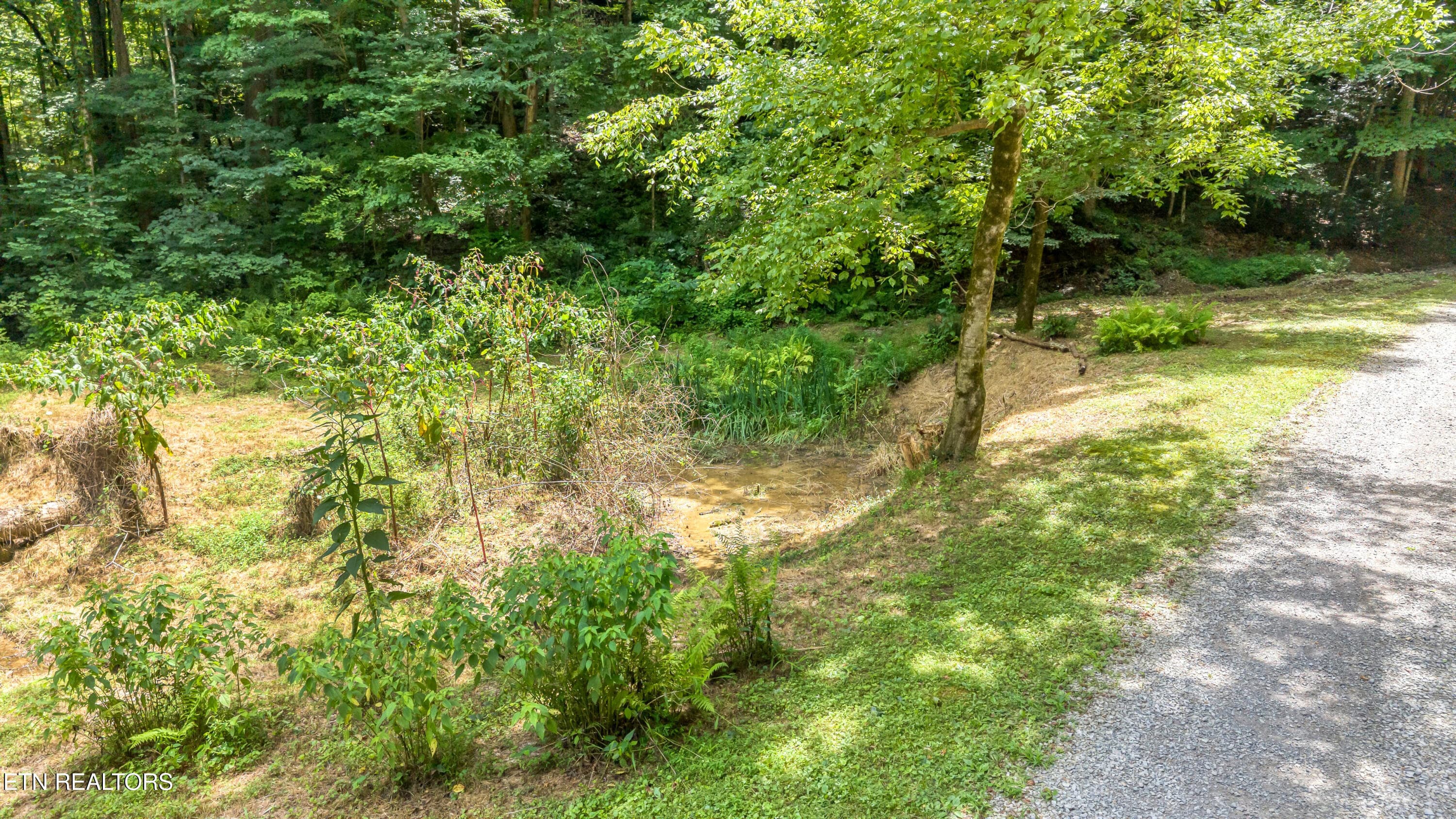 DJI_20260720142452_0098_D-2 - 429 Trails End Rd, Walland, TN 37886
