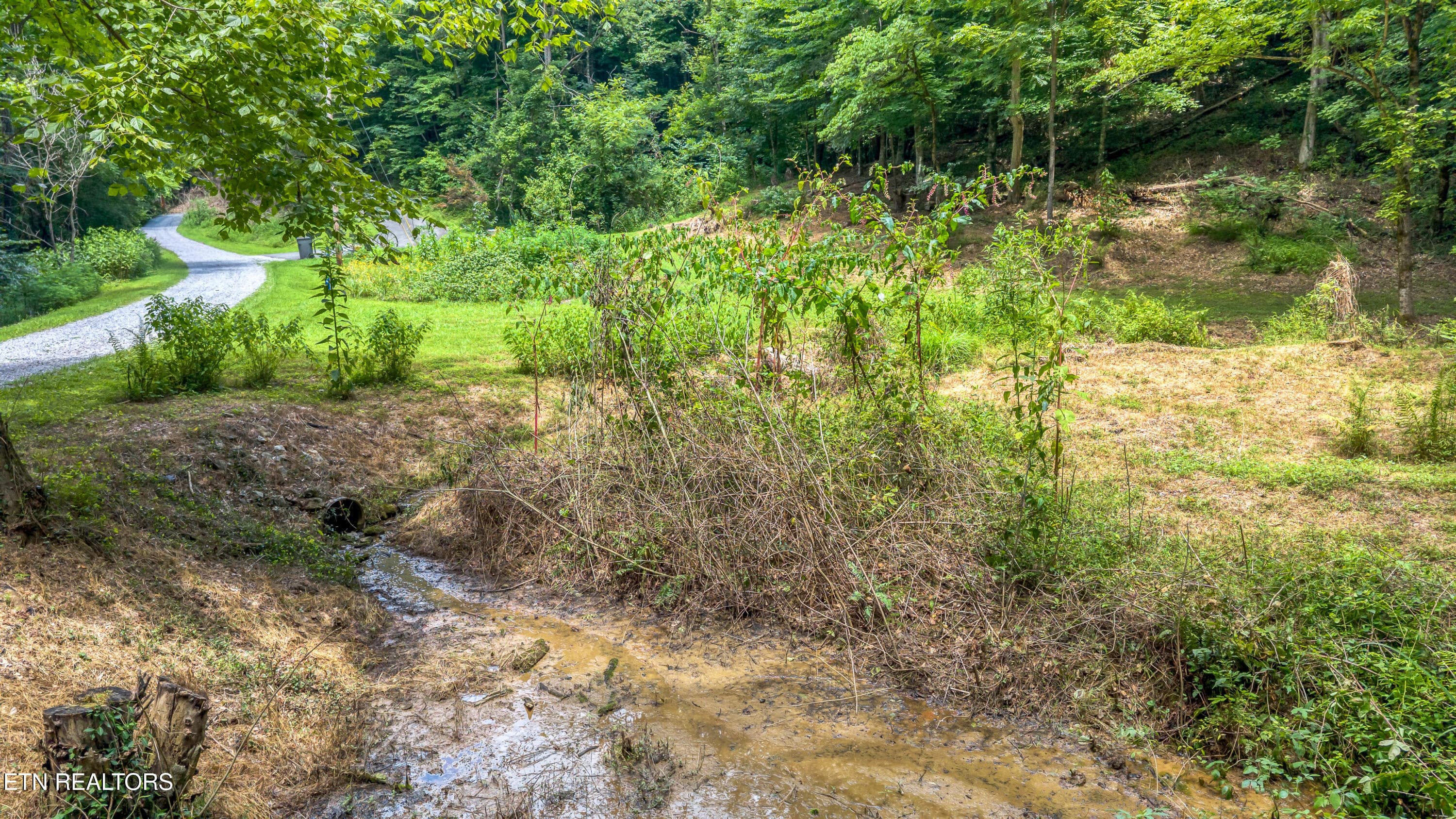DJI_20260720142515_0101_D-2 - 429 Trails End Rd, Walland, TN 37886