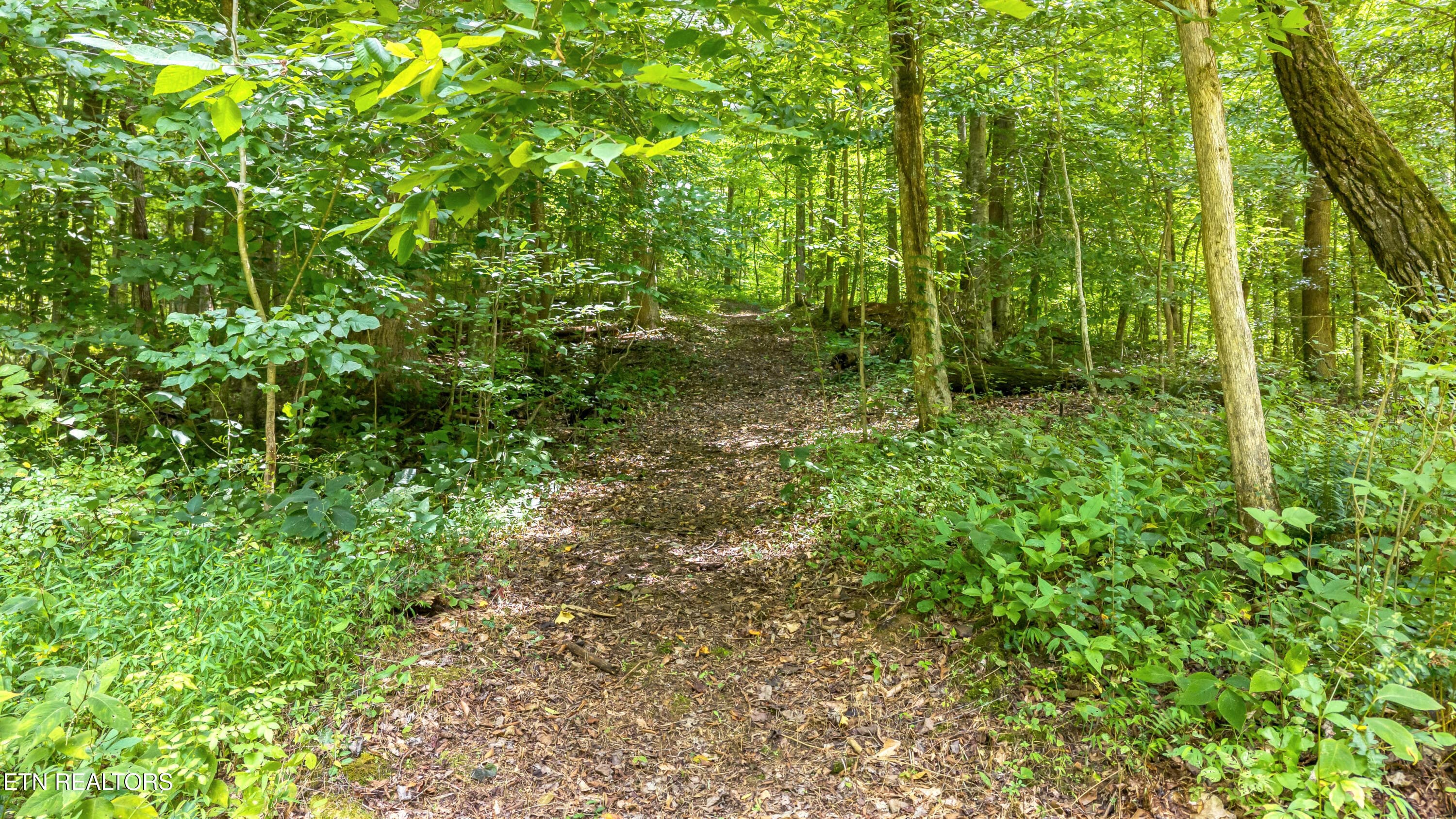 DJI_20260720142754_0104_D-2 - 429 Trails End Rd, Walland, TN 37886