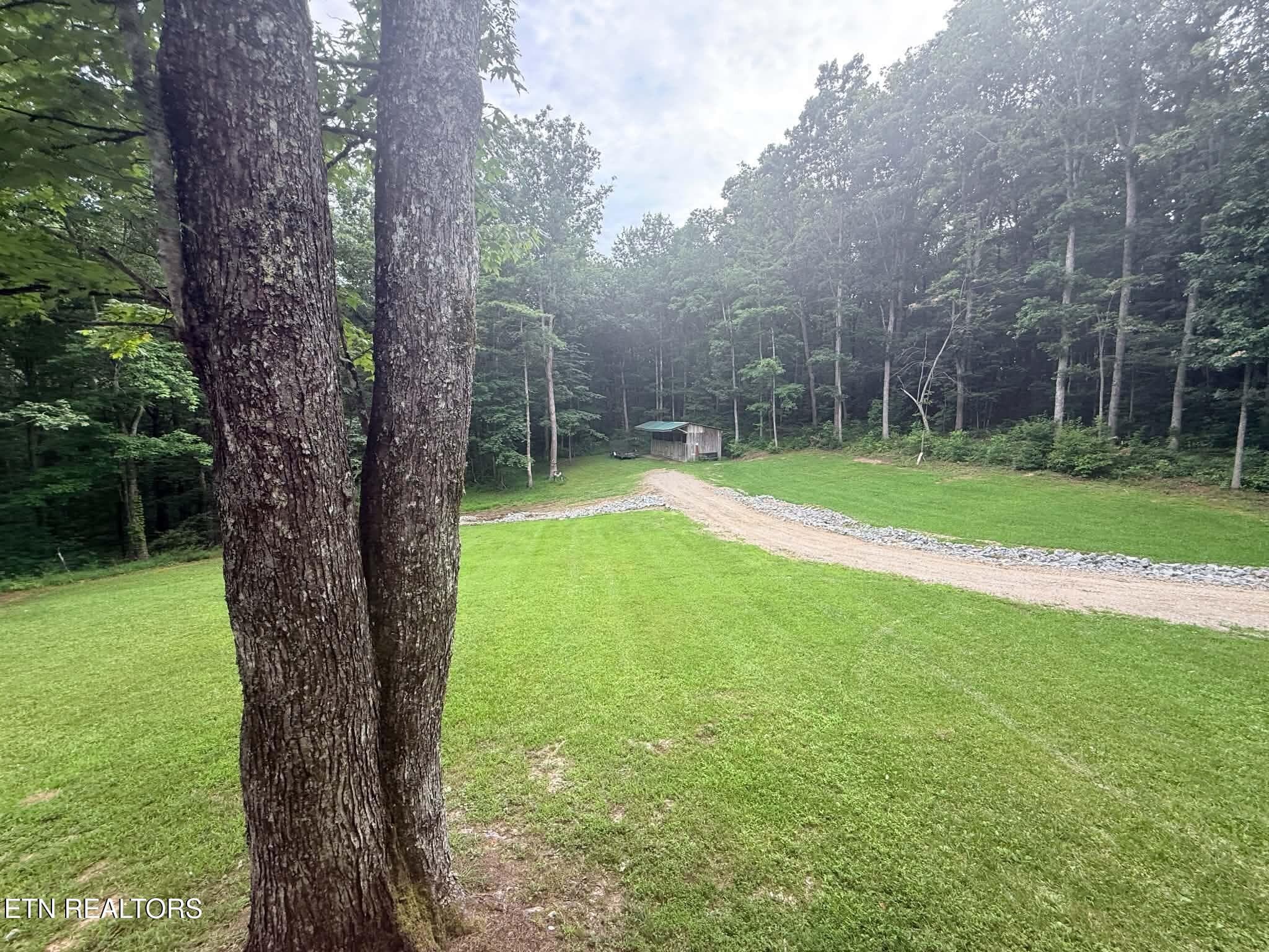 2f4a821b-b90b-4192-82c2-529b5f18b9e9 - 1250 Darrow Ridge Rd, Jamestown, TN 38556
