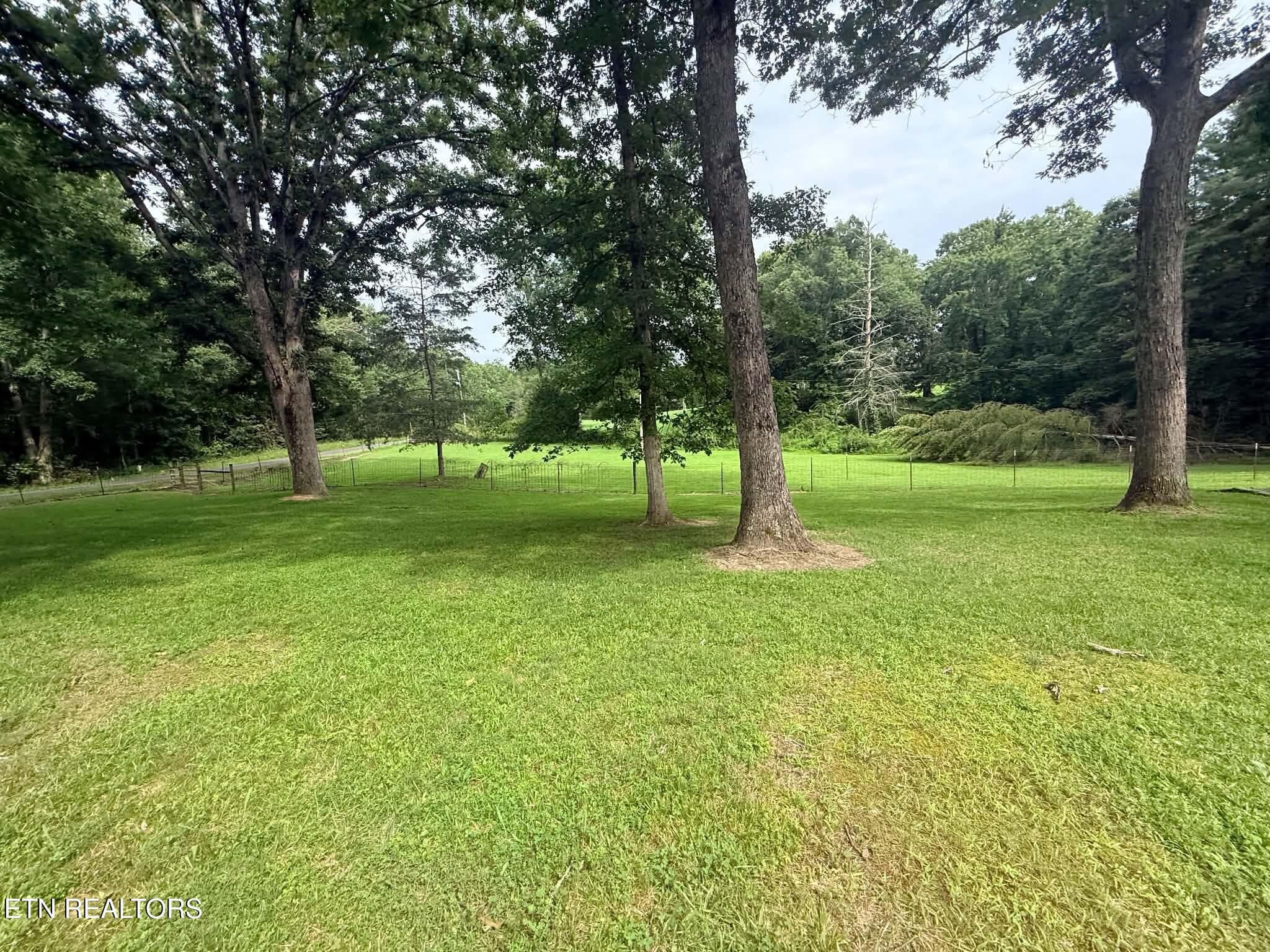 e1e33823-a5a8-4369-8a02-3c5b07a91dea - 1250 Darrow Ridge Rd, Jamestown, TN 38556