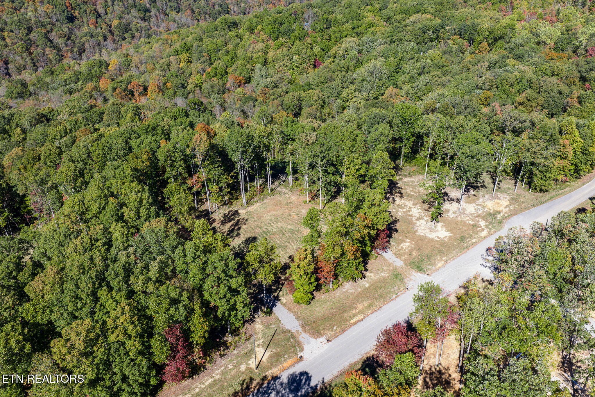 4-web-or-mls-628 Cumberland Cove_018_TNP - 628 Cumberland Cove Rd, Monterey, TN 38574