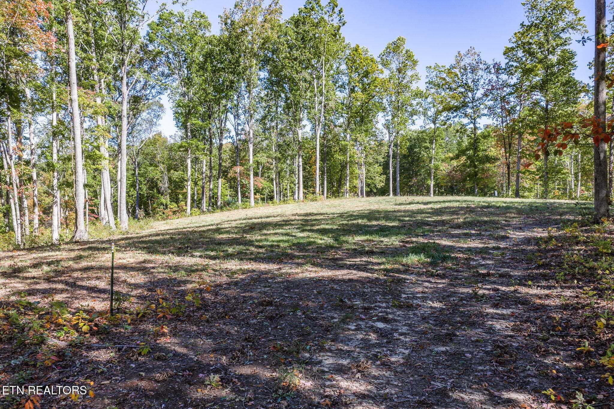 8-web-or-mls-628 Cumberland Cove_043_TNP - 628 Cumberland Cove Rd, Monterey, TN 38574