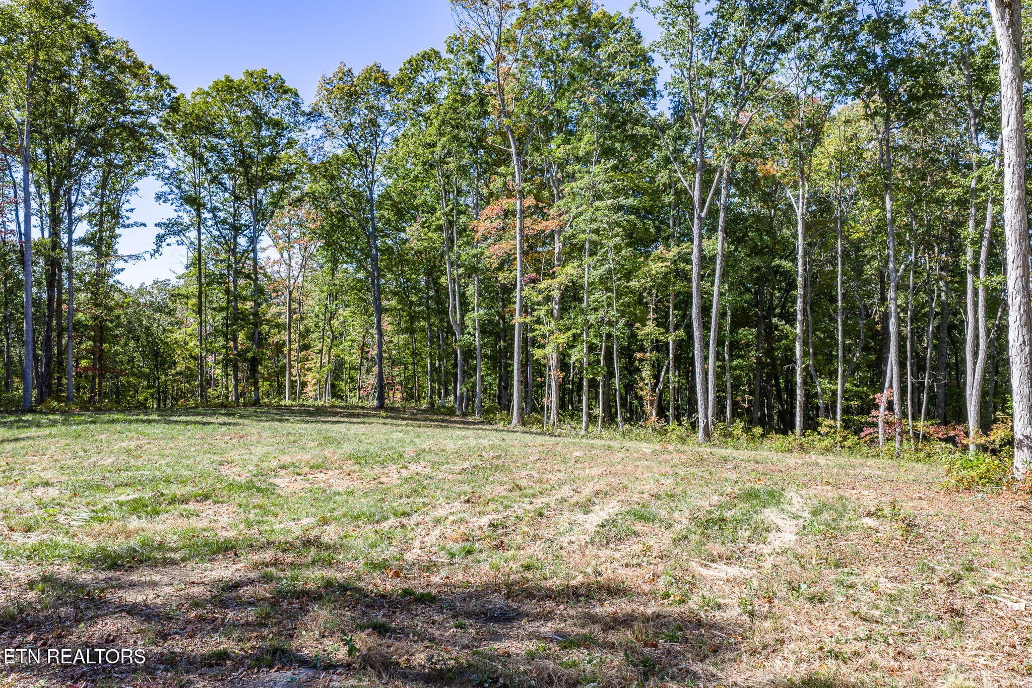 10-web-or-mls-628 Cumberland Cove_053_TN - 628 Cumberland Cove Rd, Monterey, TN 38574