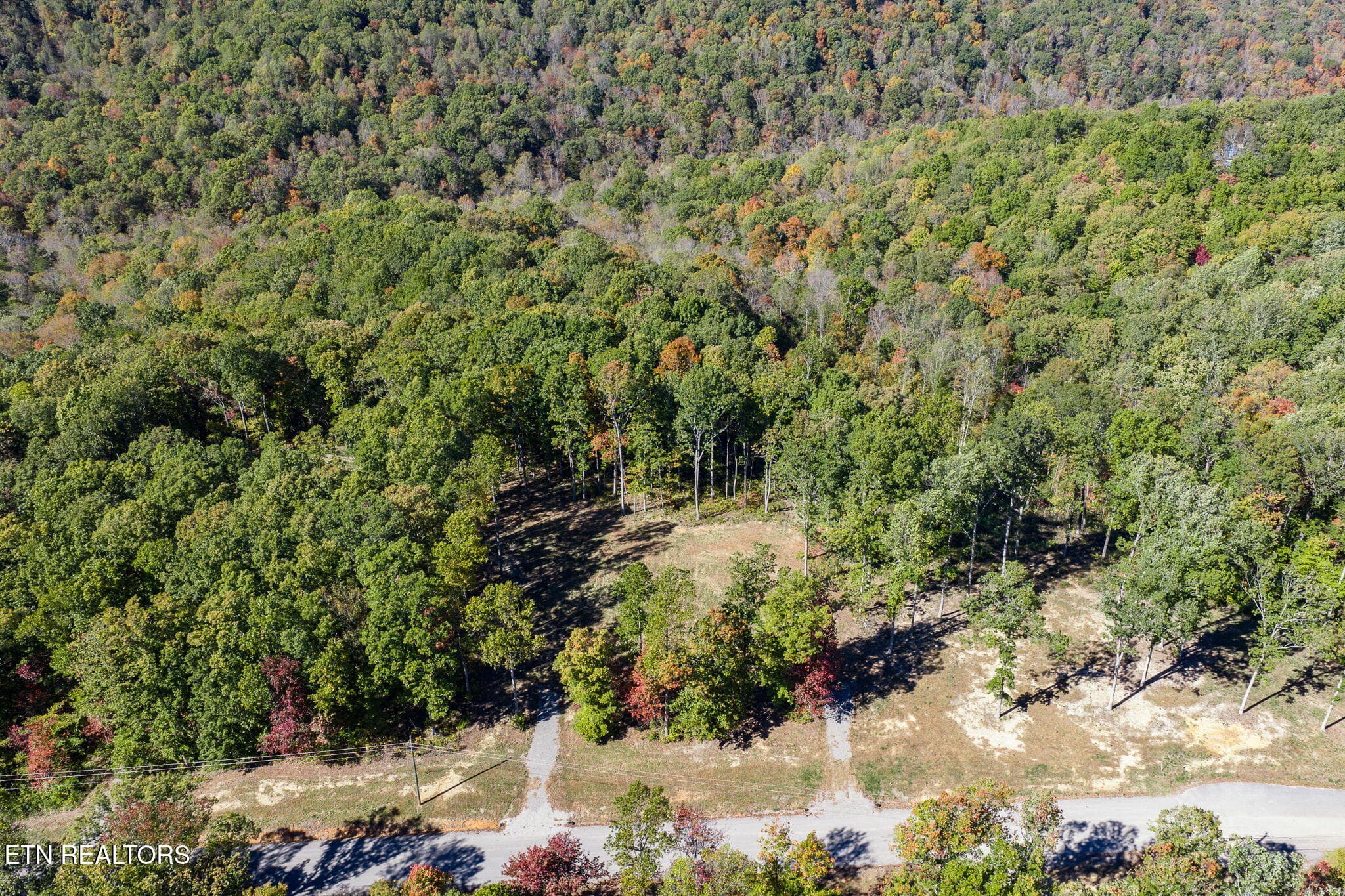 3-web-or-mls-628 Cumberland Cove_013_TNP - 628 Cumberland Cove Rd, Monterey, TN 38574