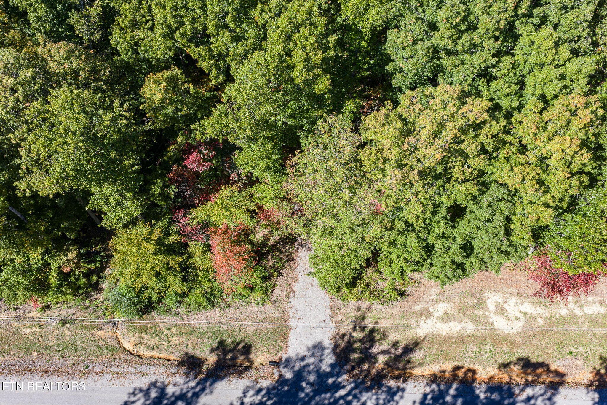3-web-or-mls-634 Cumberland Cove_013_TNP - 634 Cumberland Cove Rd, Monterey, TN 38574