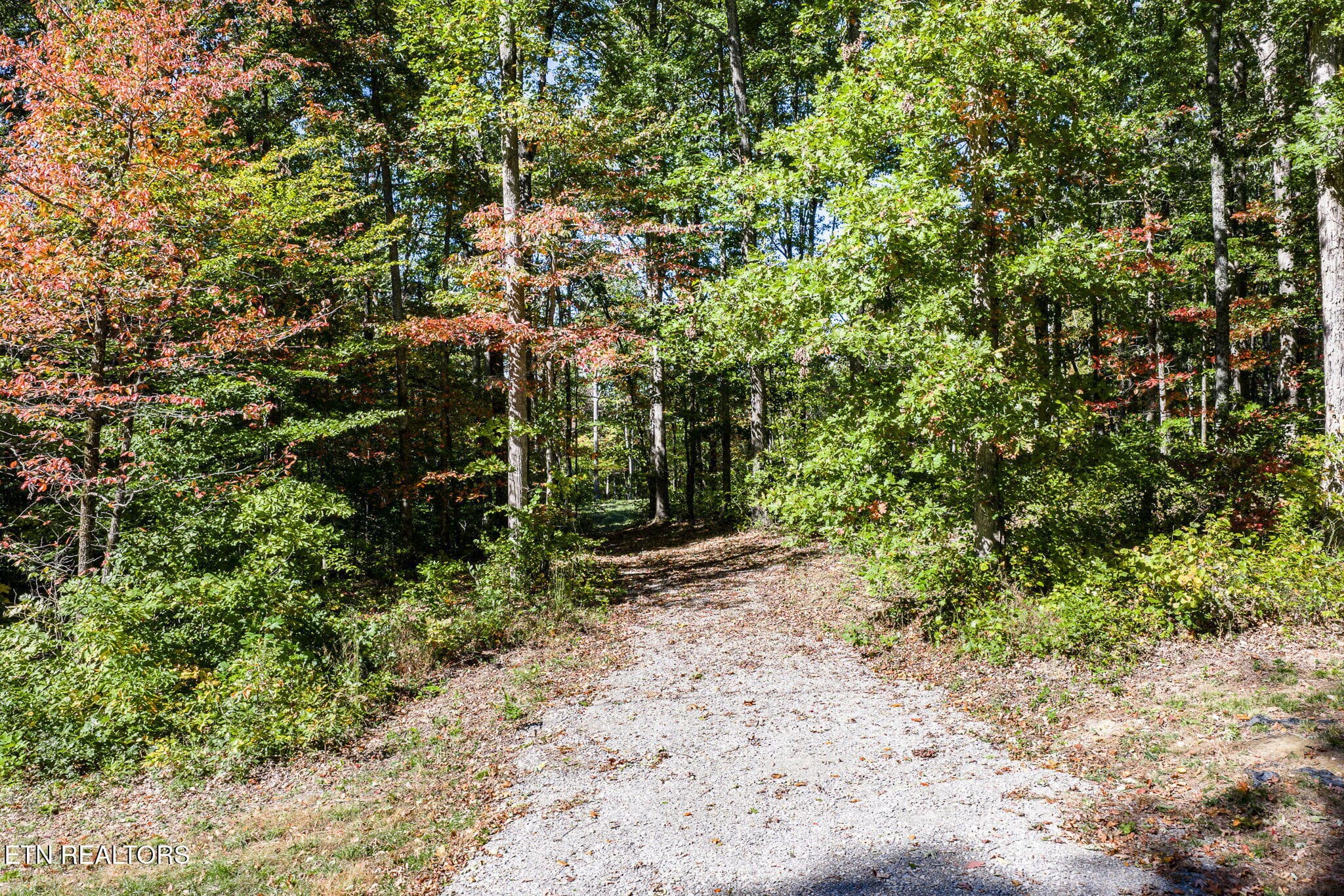 2-web-or-mls-634 Cumberland Cove_008_TNP - 634 Cumberland Cove Rd, Monterey, TN 38574
