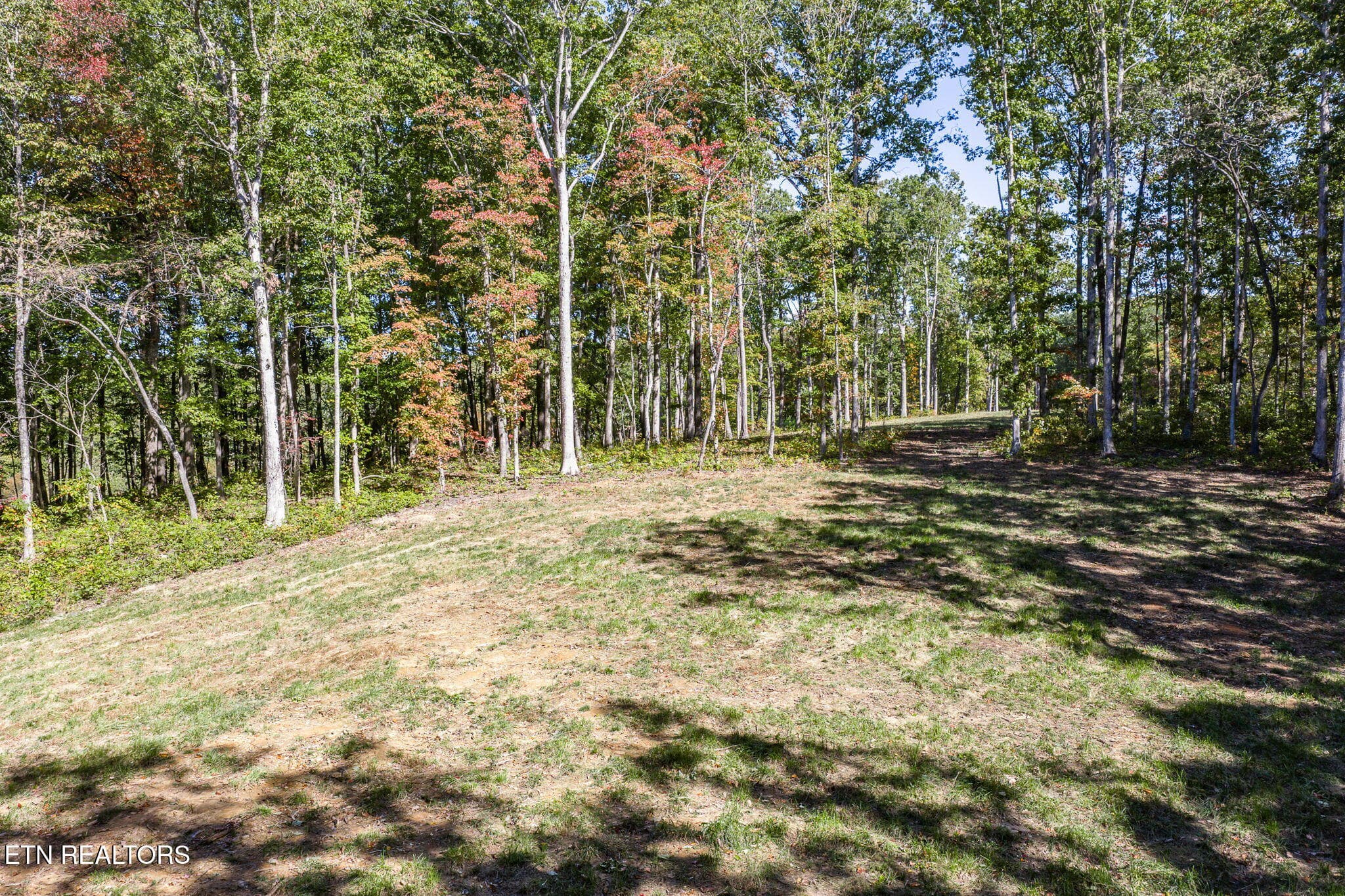 9-web-or-mls-634 Cumberland Cove_043_TNP - 634 Cumberland Cove Rd, Monterey, TN 38574