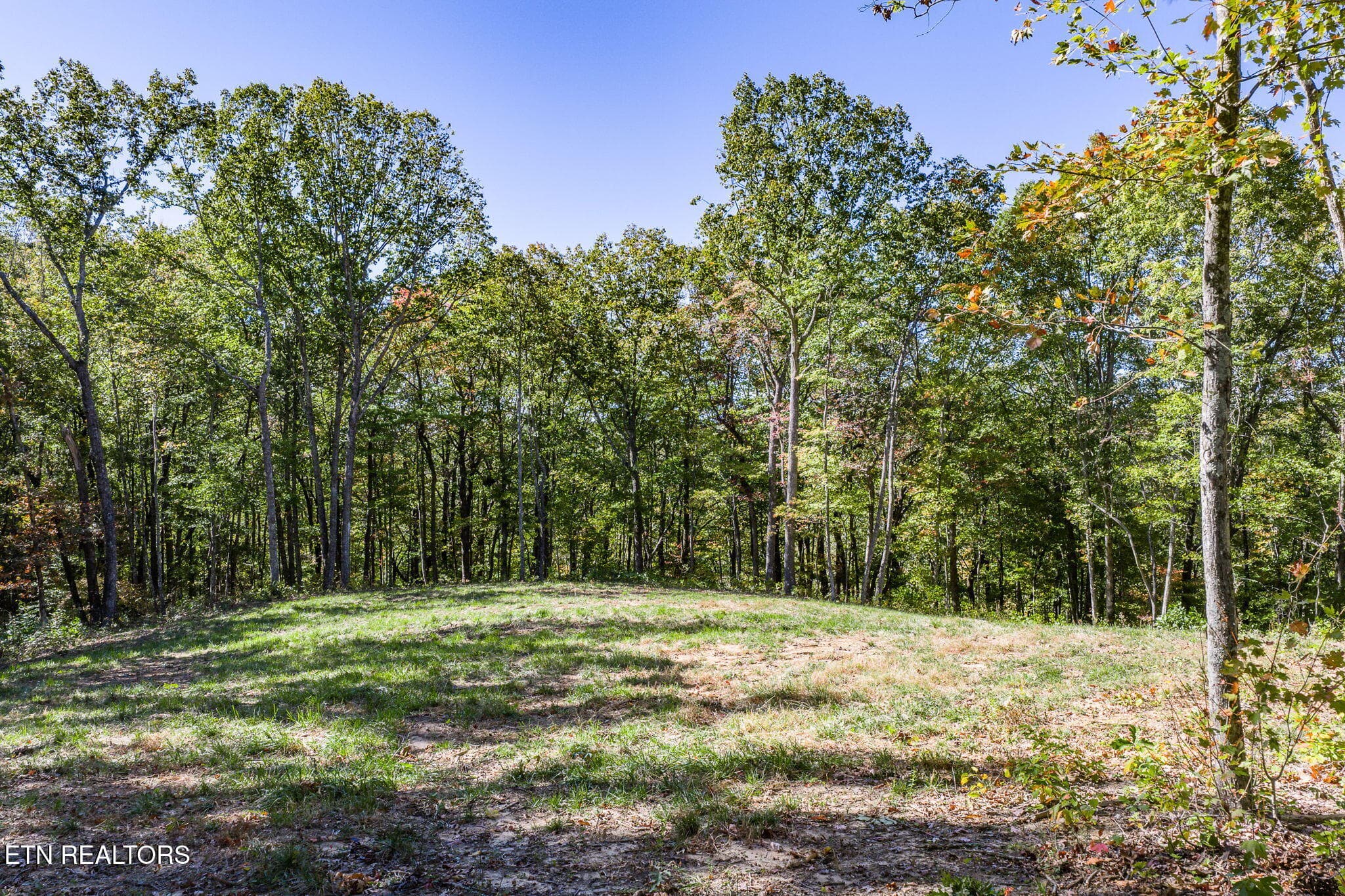 10-web-or-mls-634 Cumberland Cove_048_TN - 634 Cumberland Cove Rd, Monterey, TN 38574