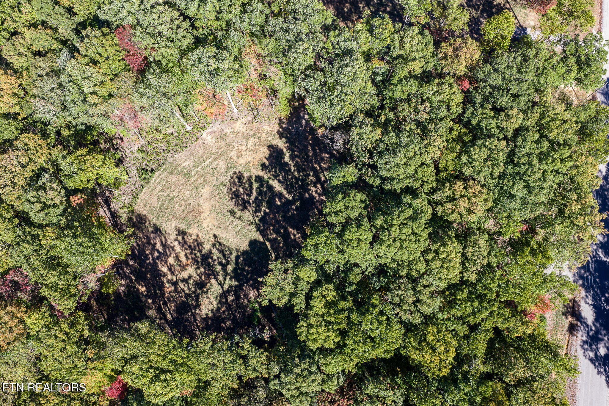 8-web-or-mls-634 Cumberland Cove_038_TNP - 634 Cumberland Cove Rd, Monterey, TN 38574