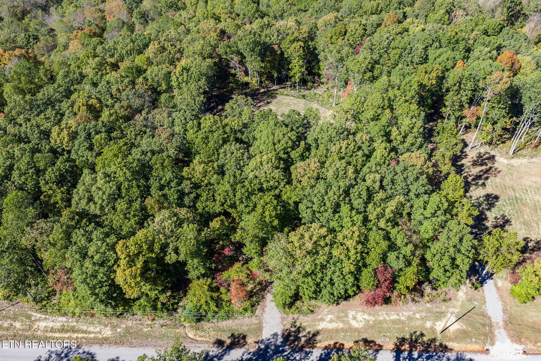 4-web-or-mls-634 Cumberland Cove_018_TNP - 634 Cumberland Cove Rd, Monterey, TN 38574