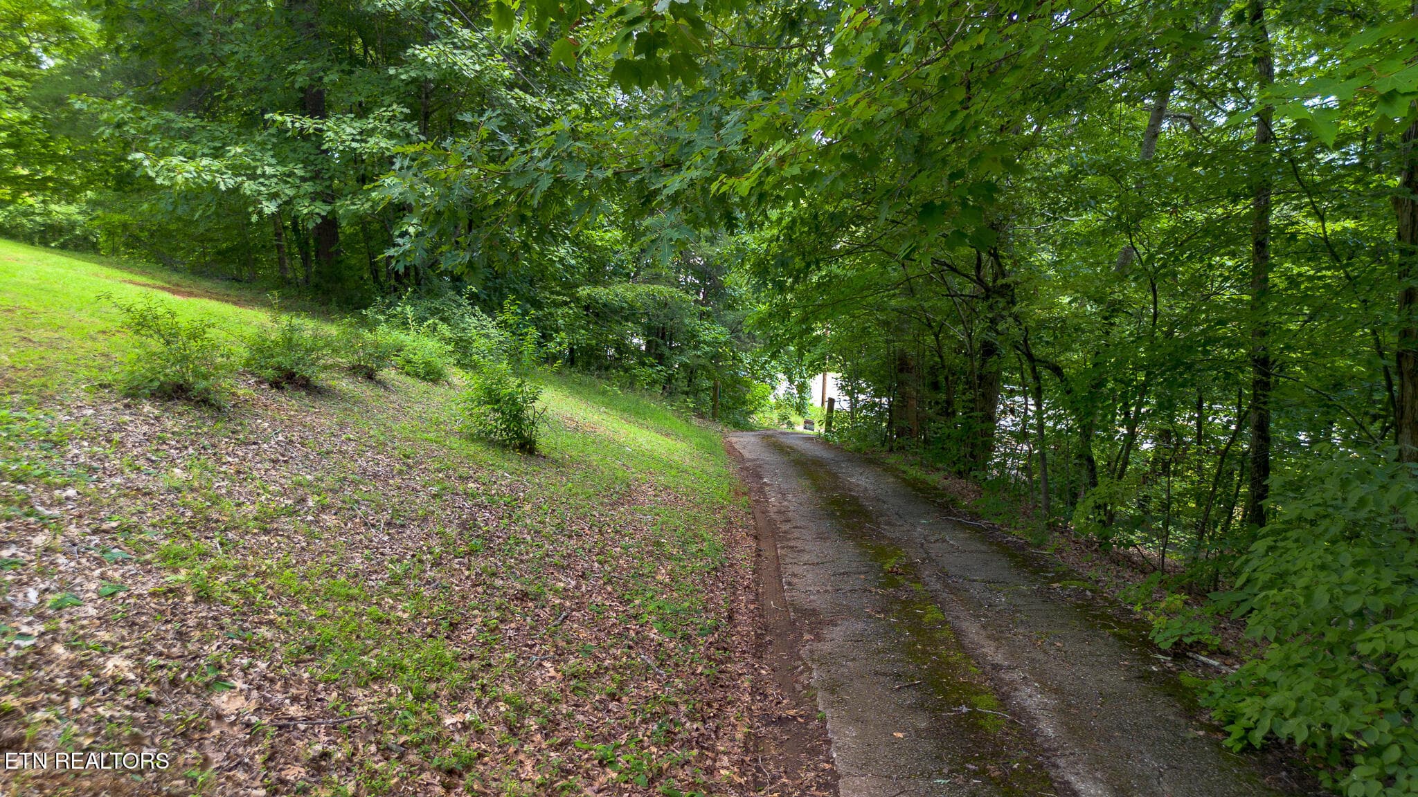 aerials (39) - 2101 W Governor John Sevier Hwy, Knoxville, TN 37920